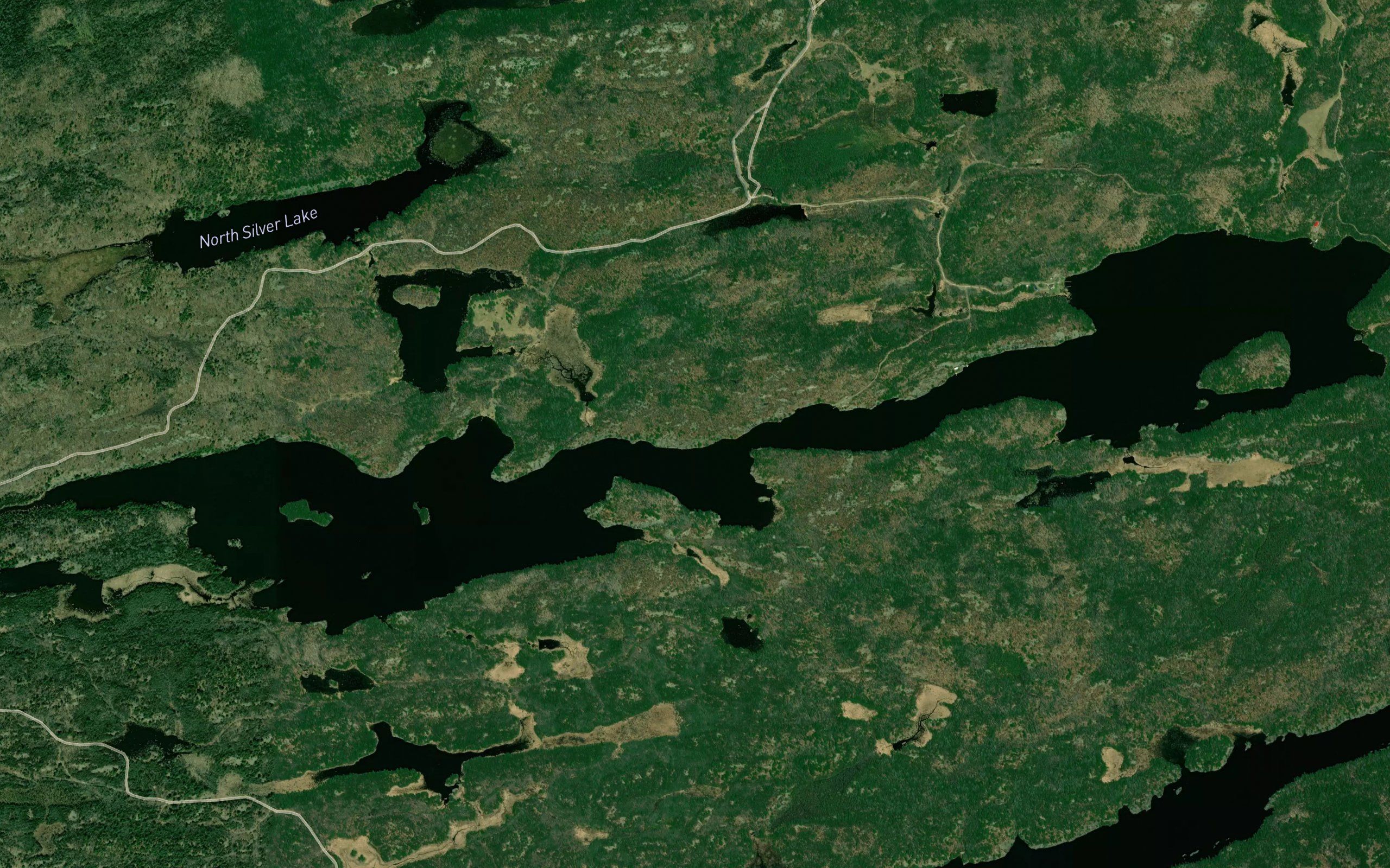 Bass Lake