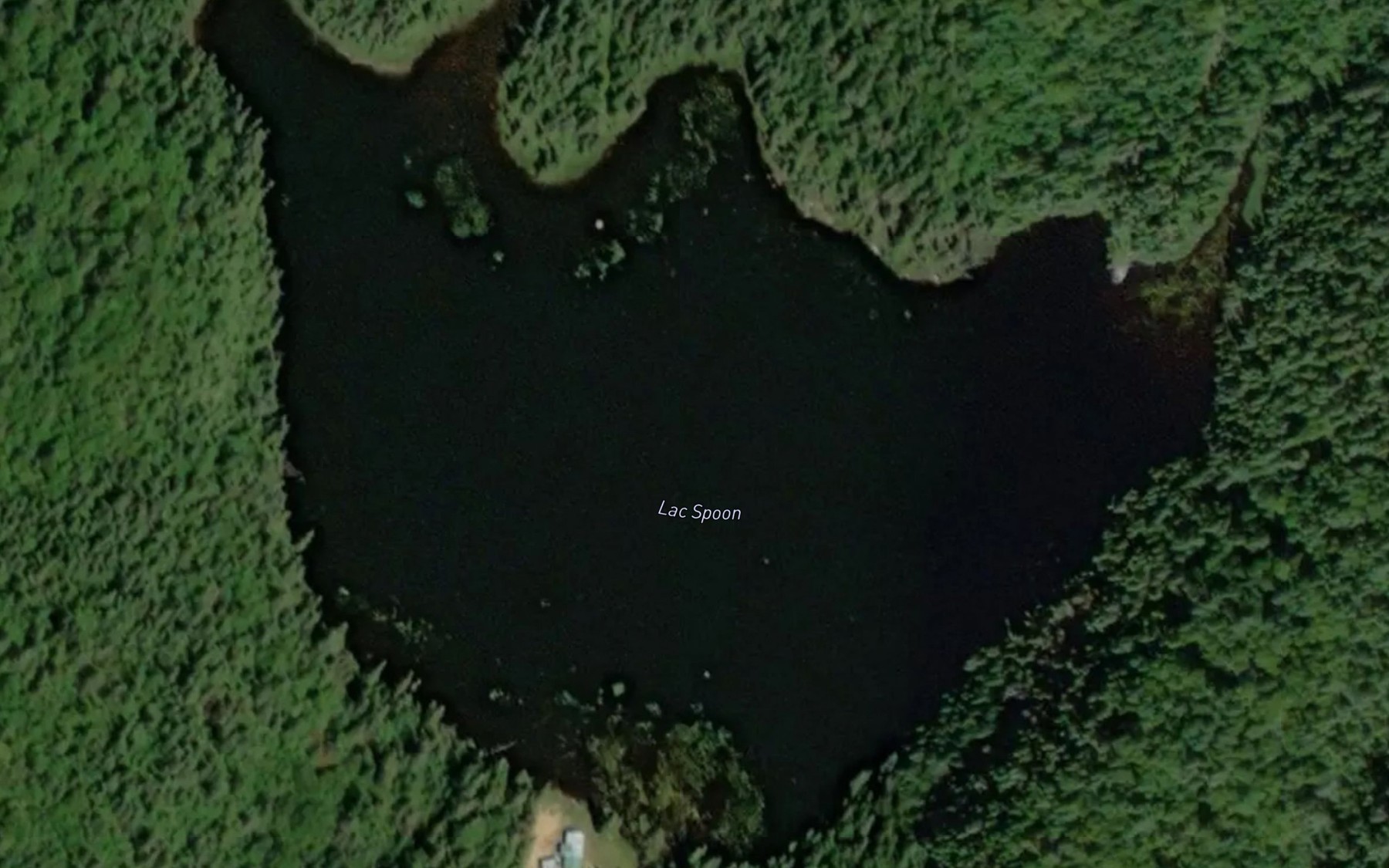 Satellite map of the Lac Spoon