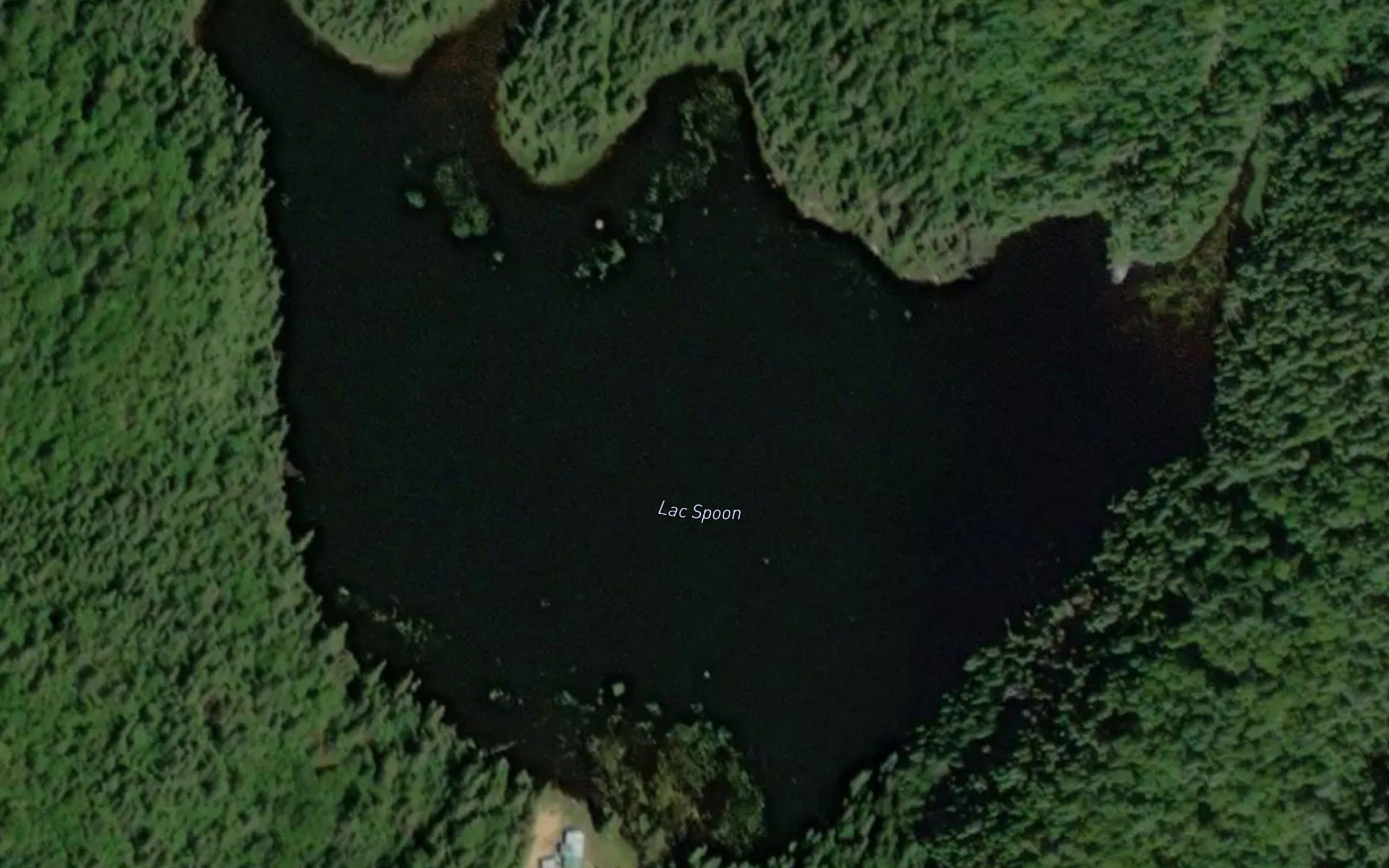 Lac Spoon