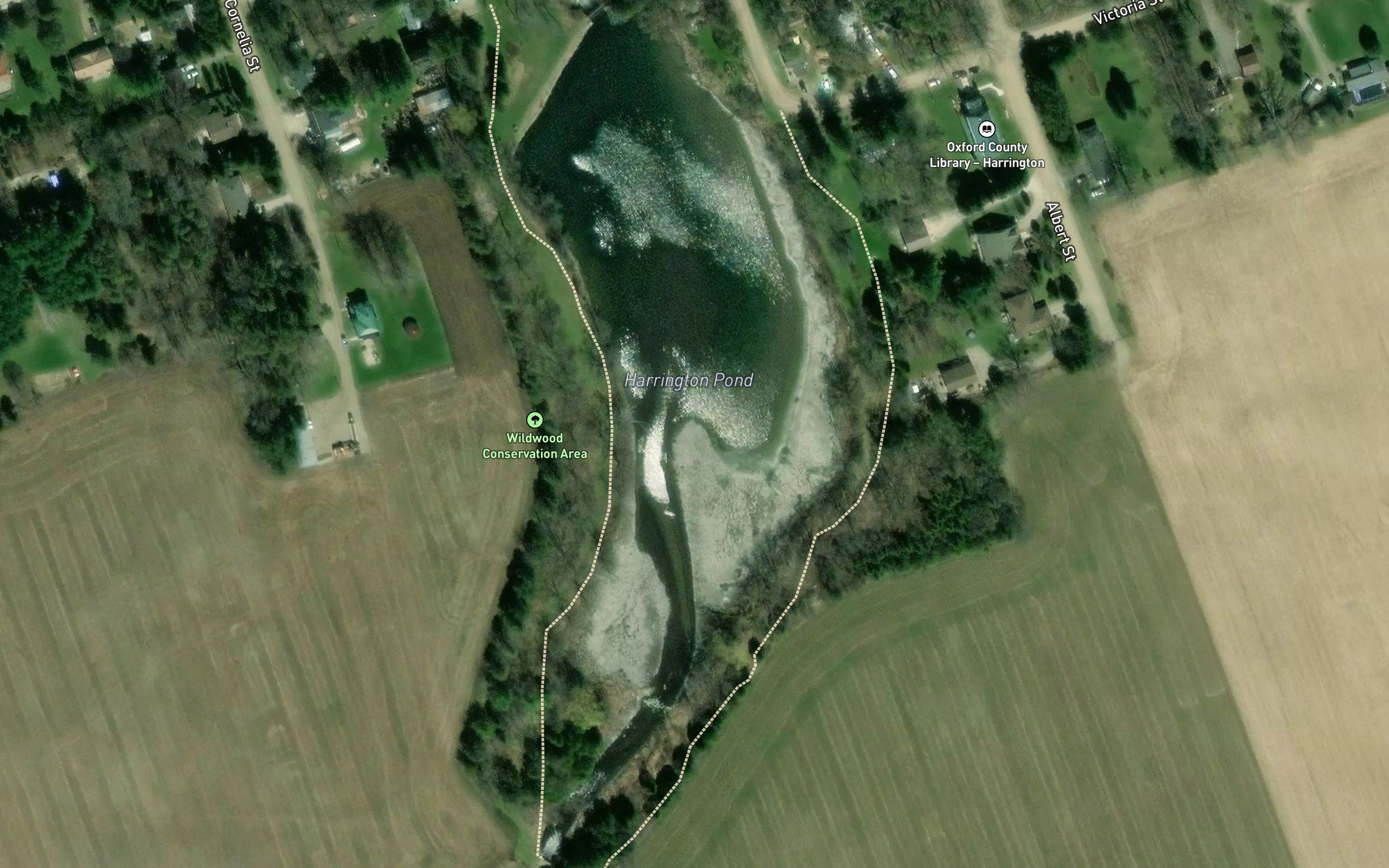 Harrington Pond