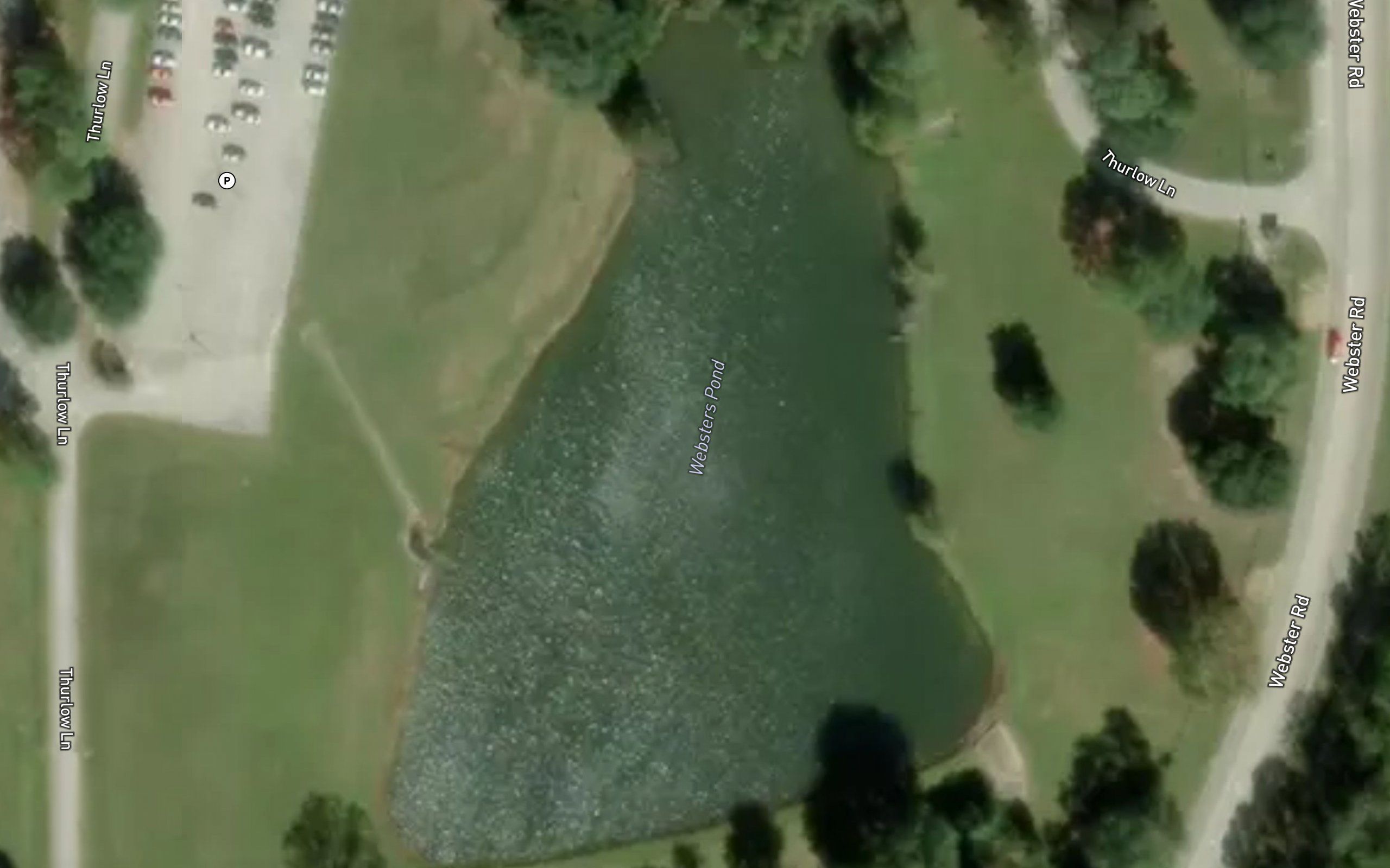 Websters Pond