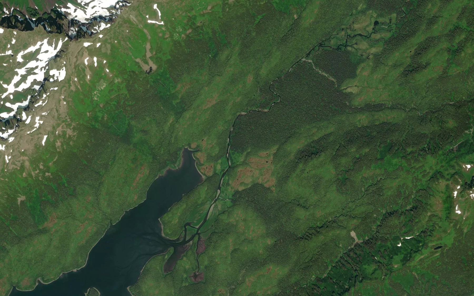 Satellite map of the Constantine Creek