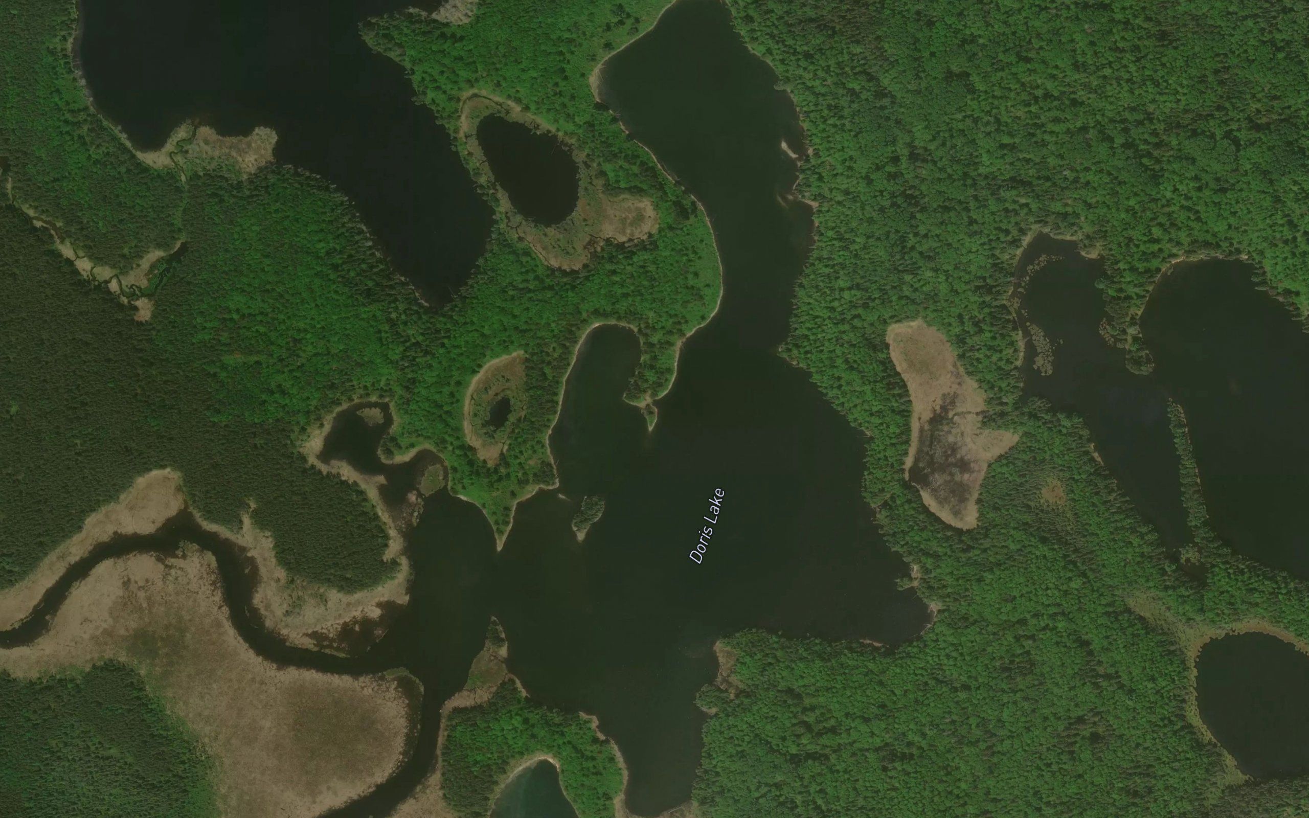 Doris Lake