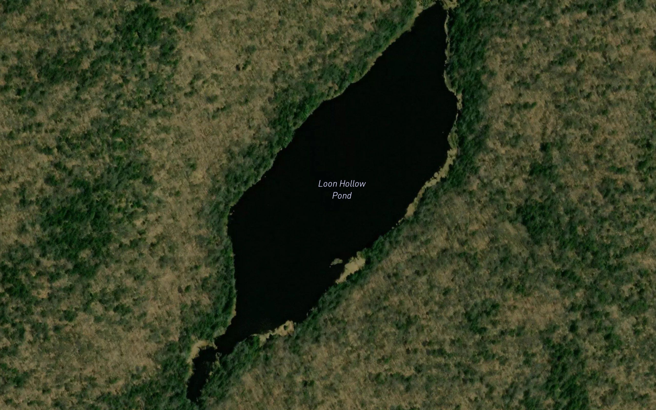 Loon Hollows Pond