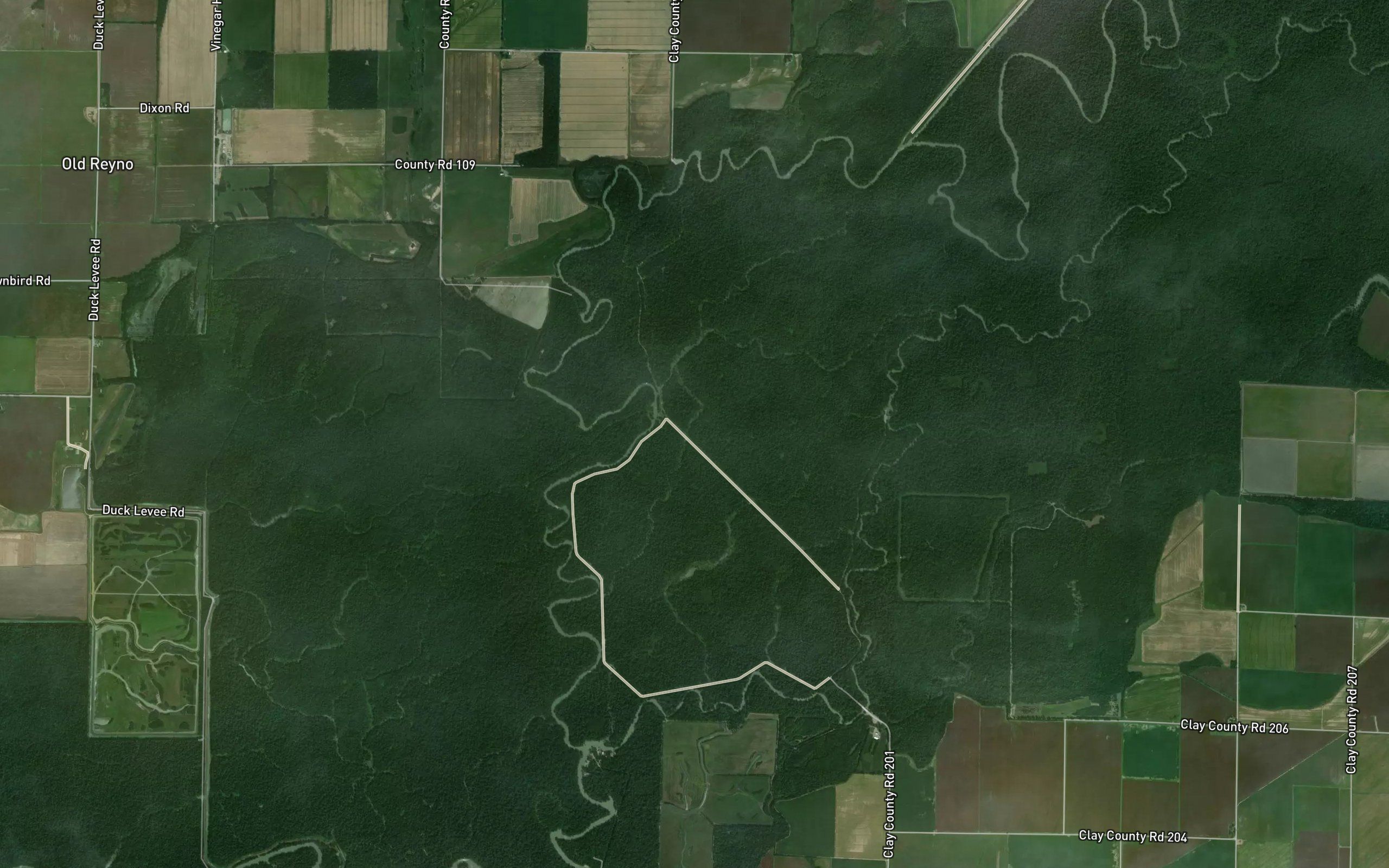 Cold Water Slough