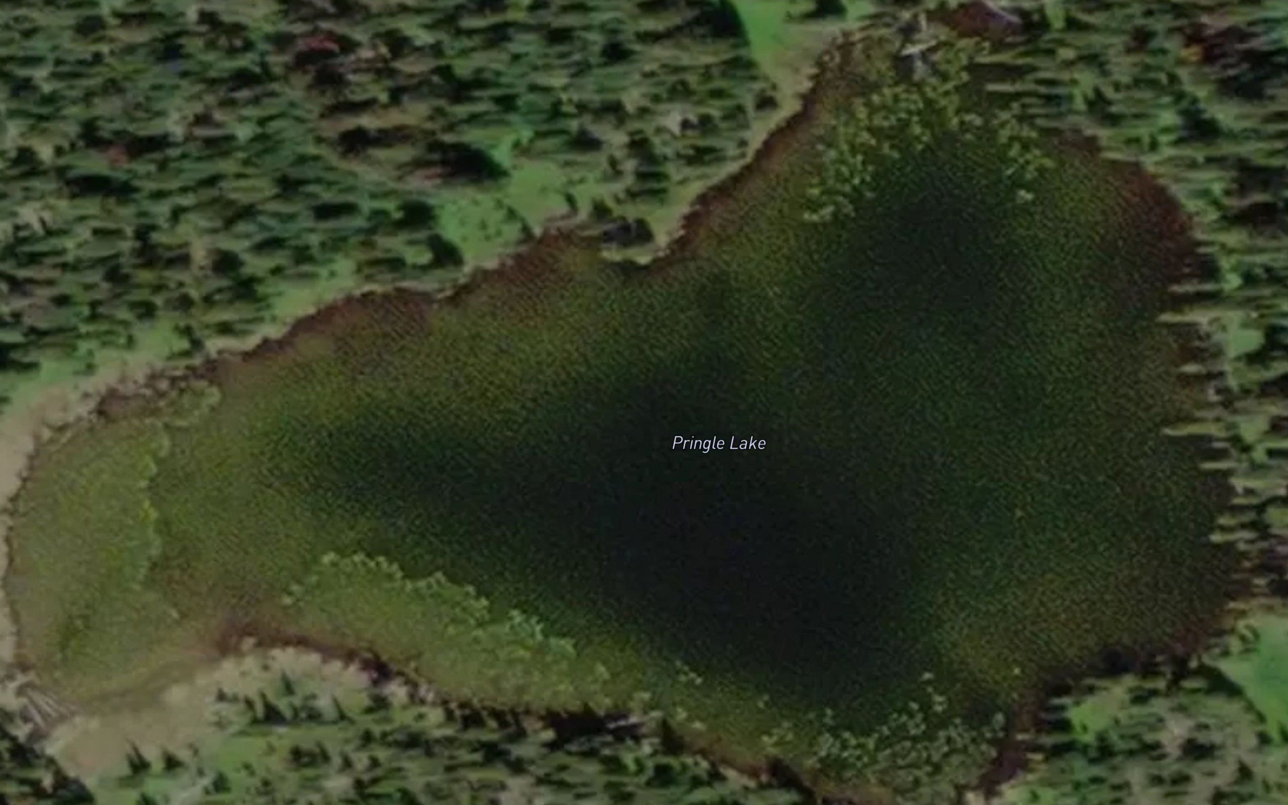 Pringle Lake