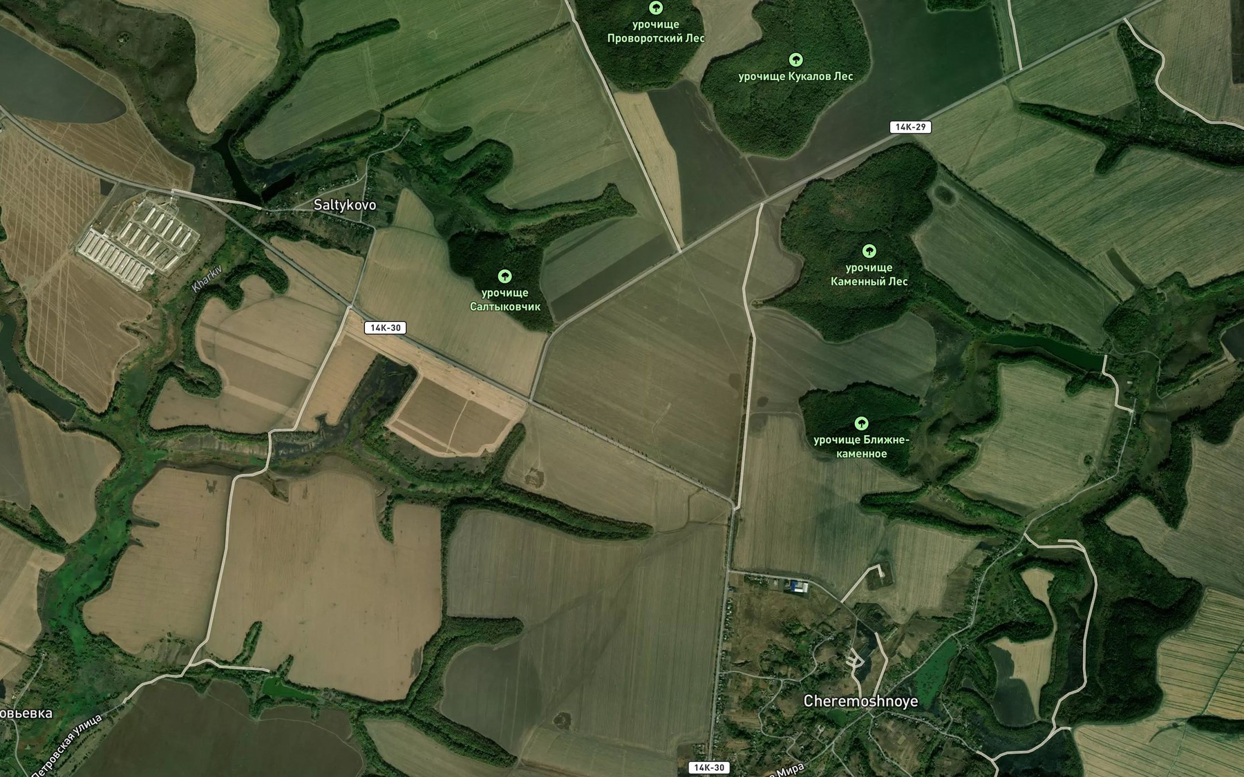 Satellite map of the Log Kobelev