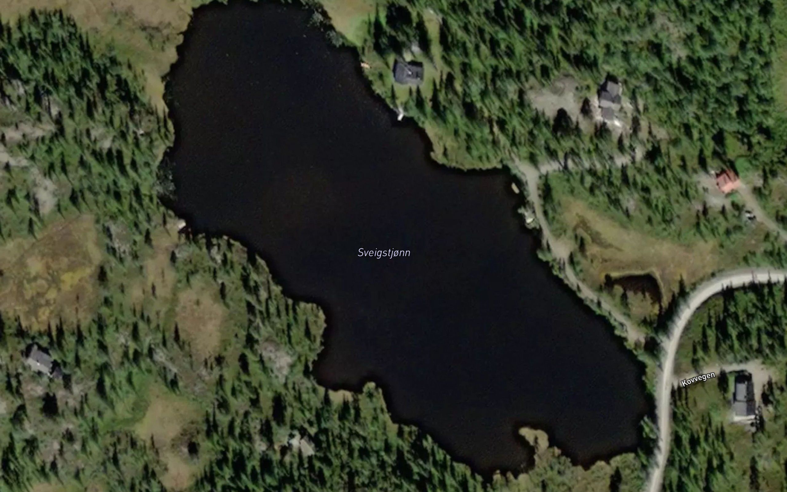 Sveigstjonn