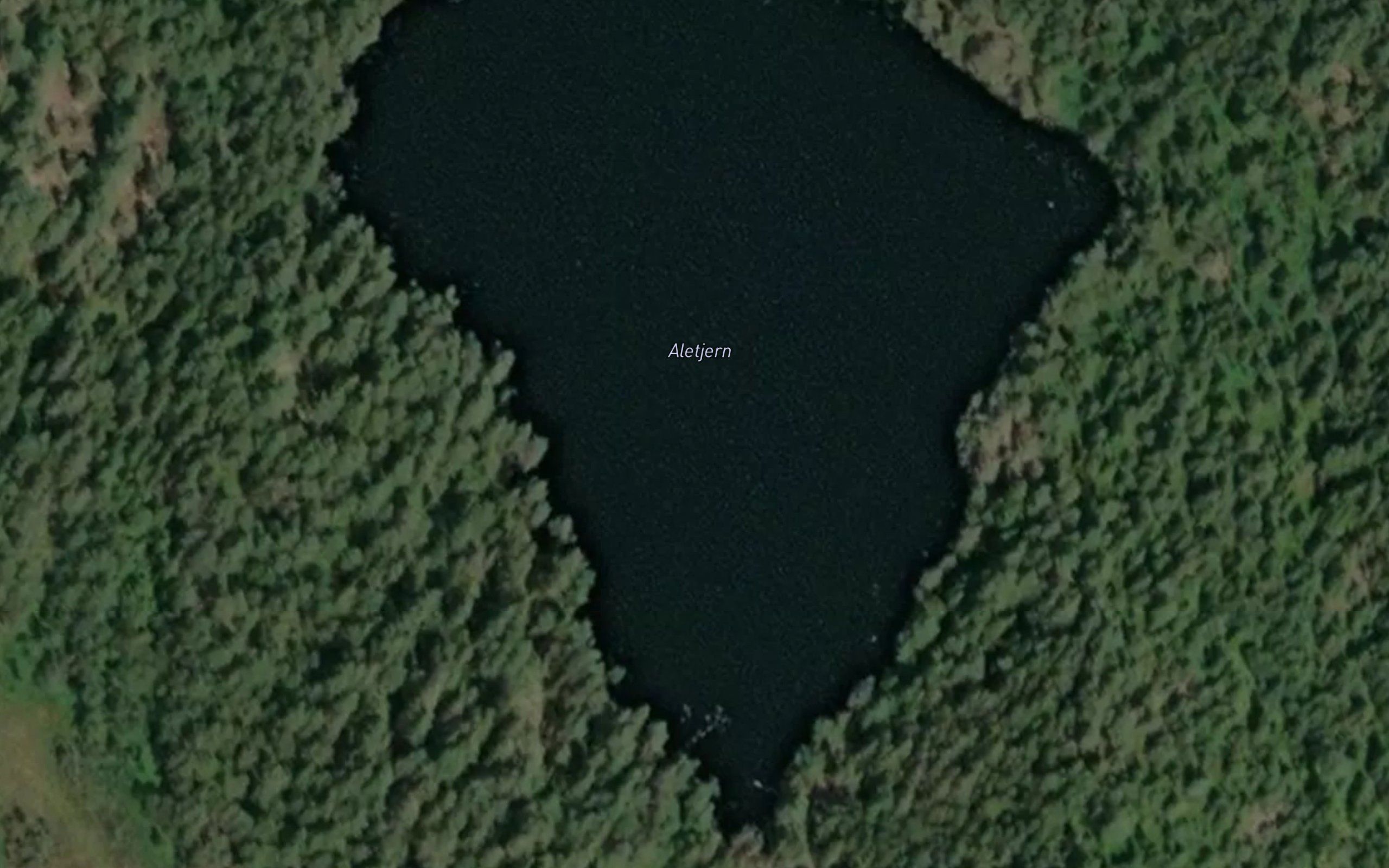 Aletjern