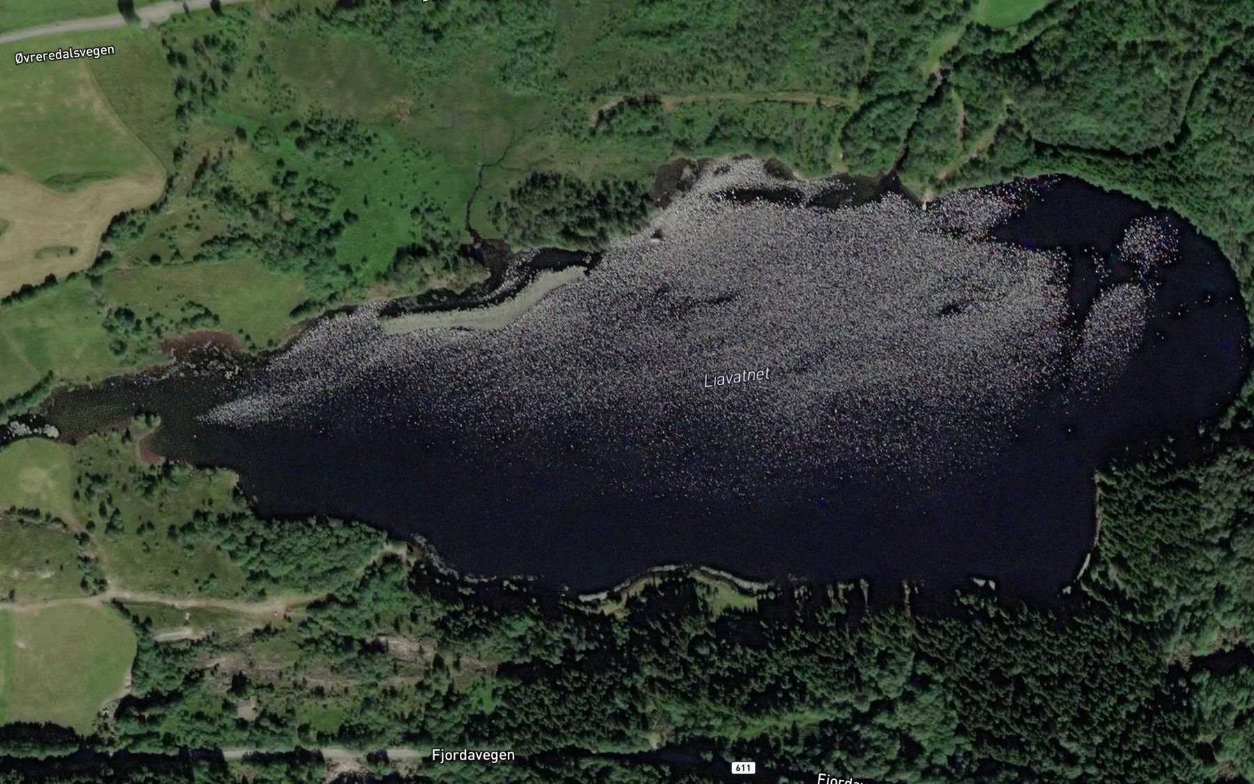 Satellite map of the Liavatnet
