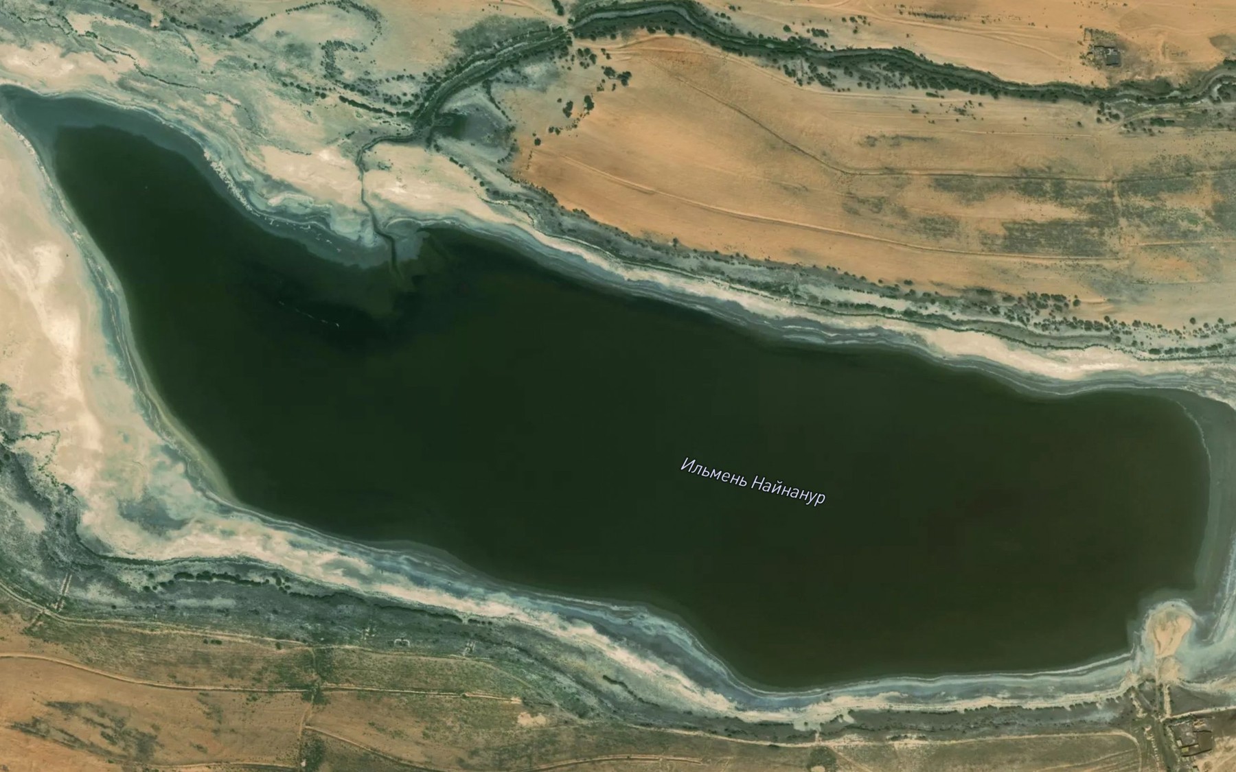 Satellite map of the Il'men' Naynanur