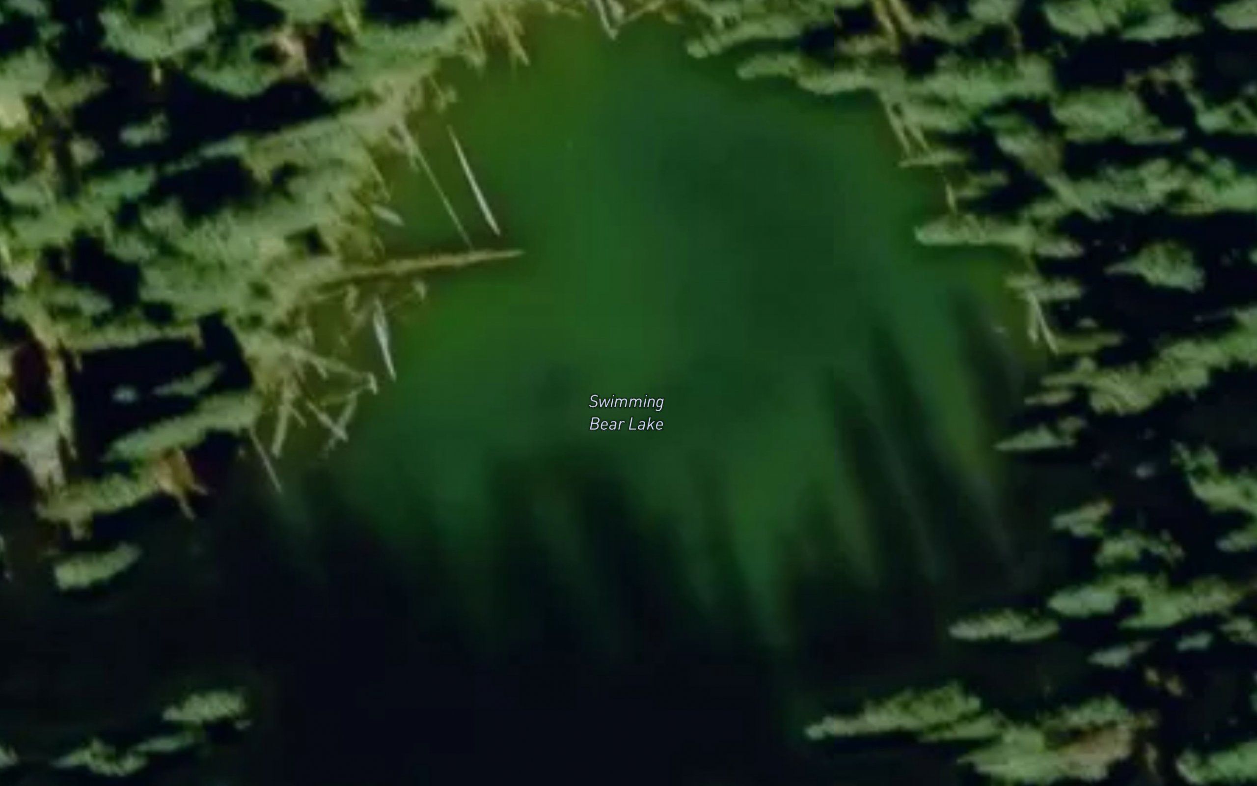 Swimming Bear Lake