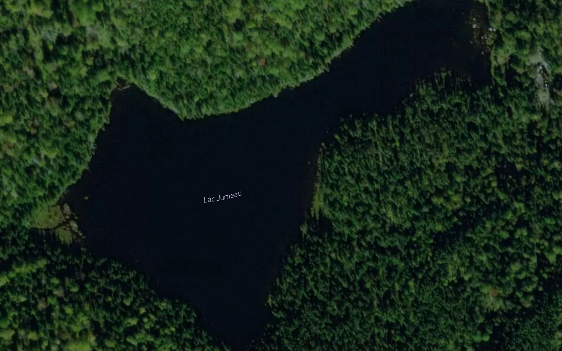 Satellite map of the Lac Jumeau