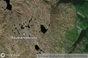Brunatjorni
