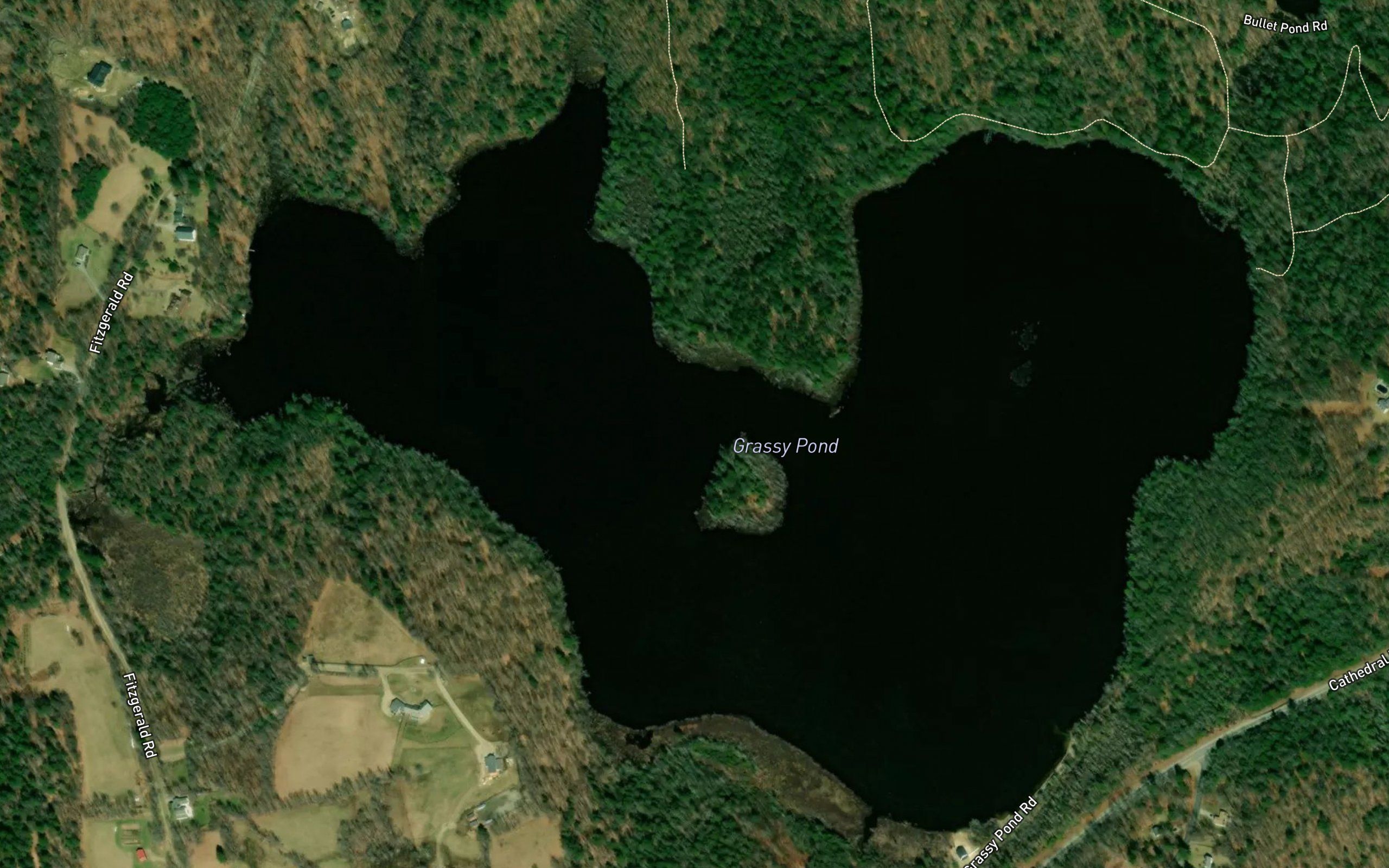 Grassy Pond