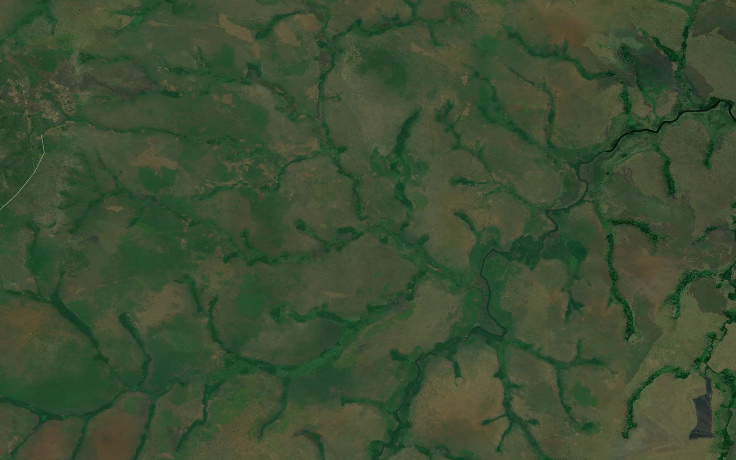 Kiumbi