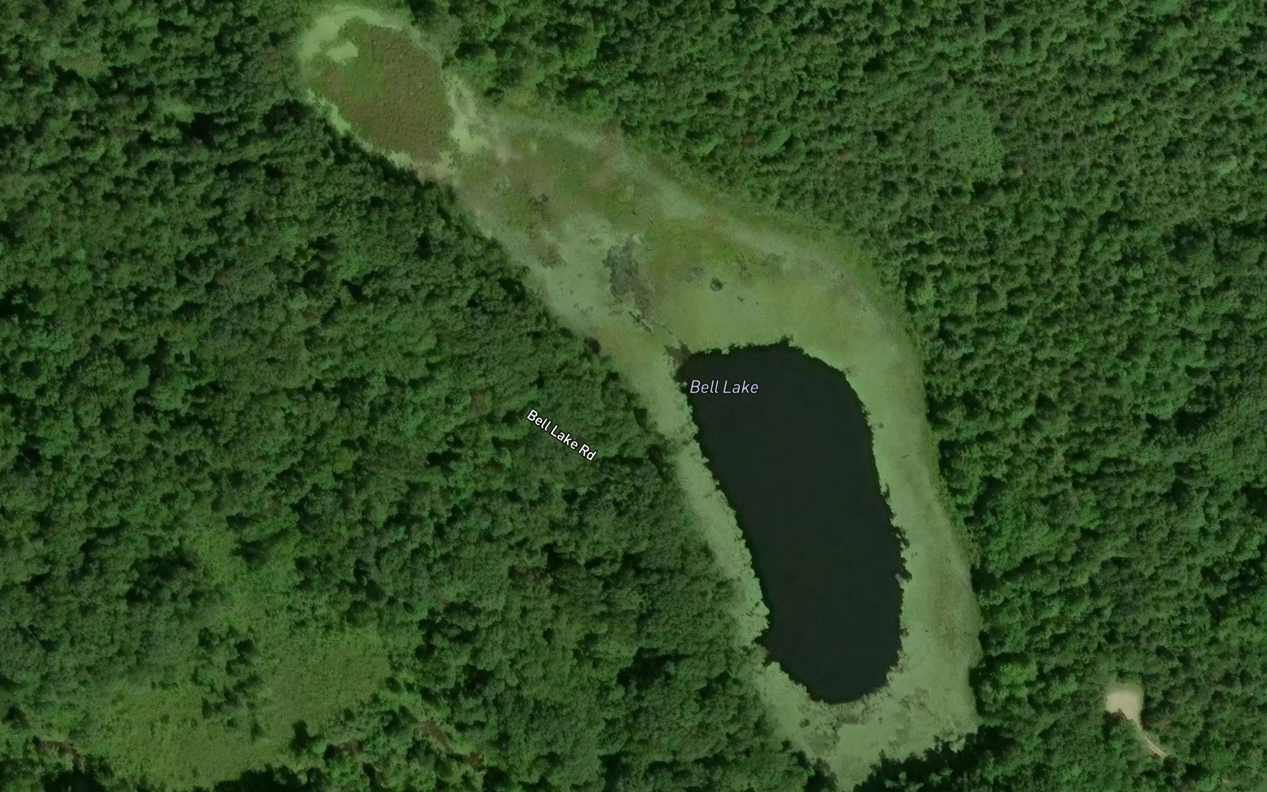 Bell Lake