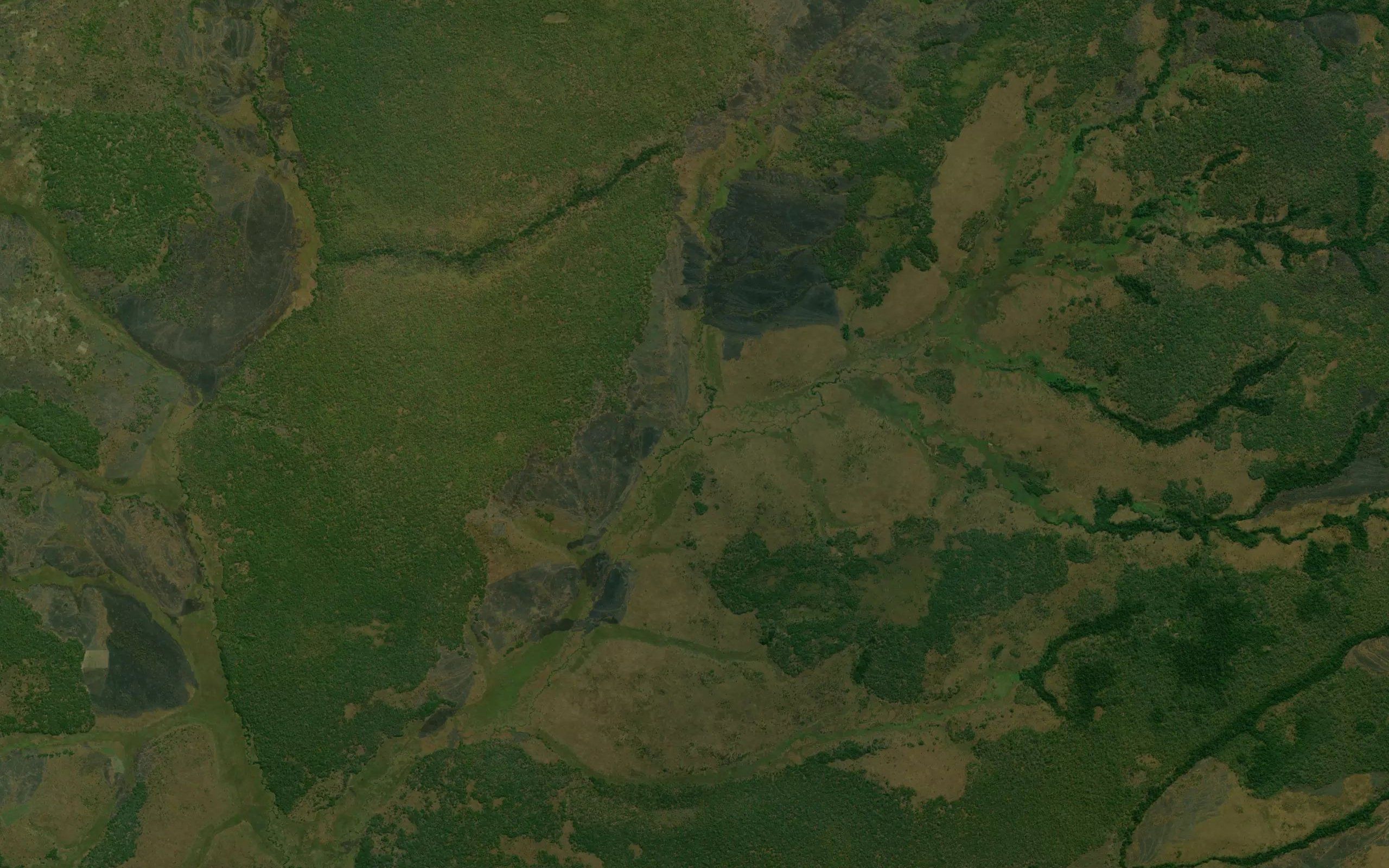 Vuba