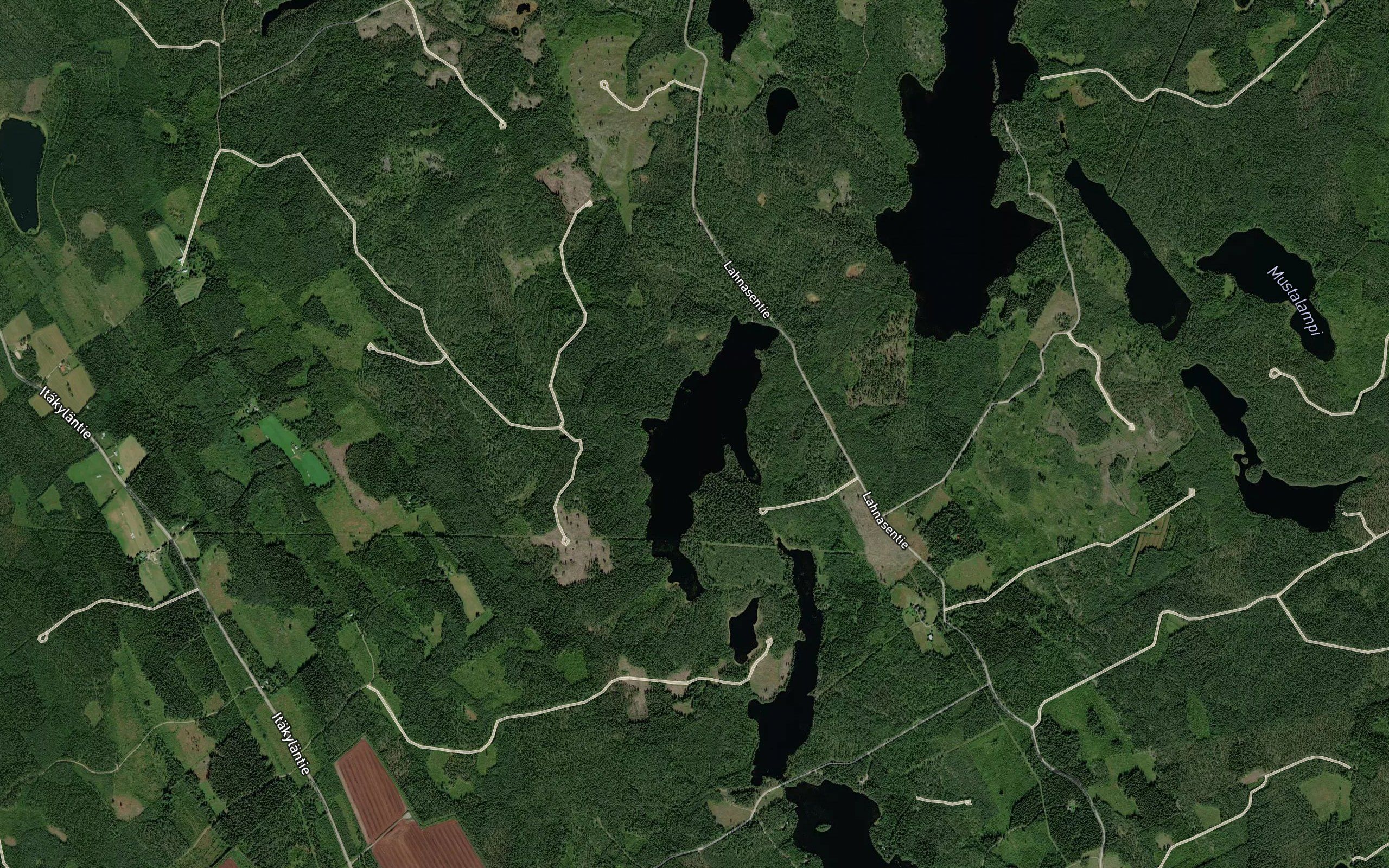 Viitanen