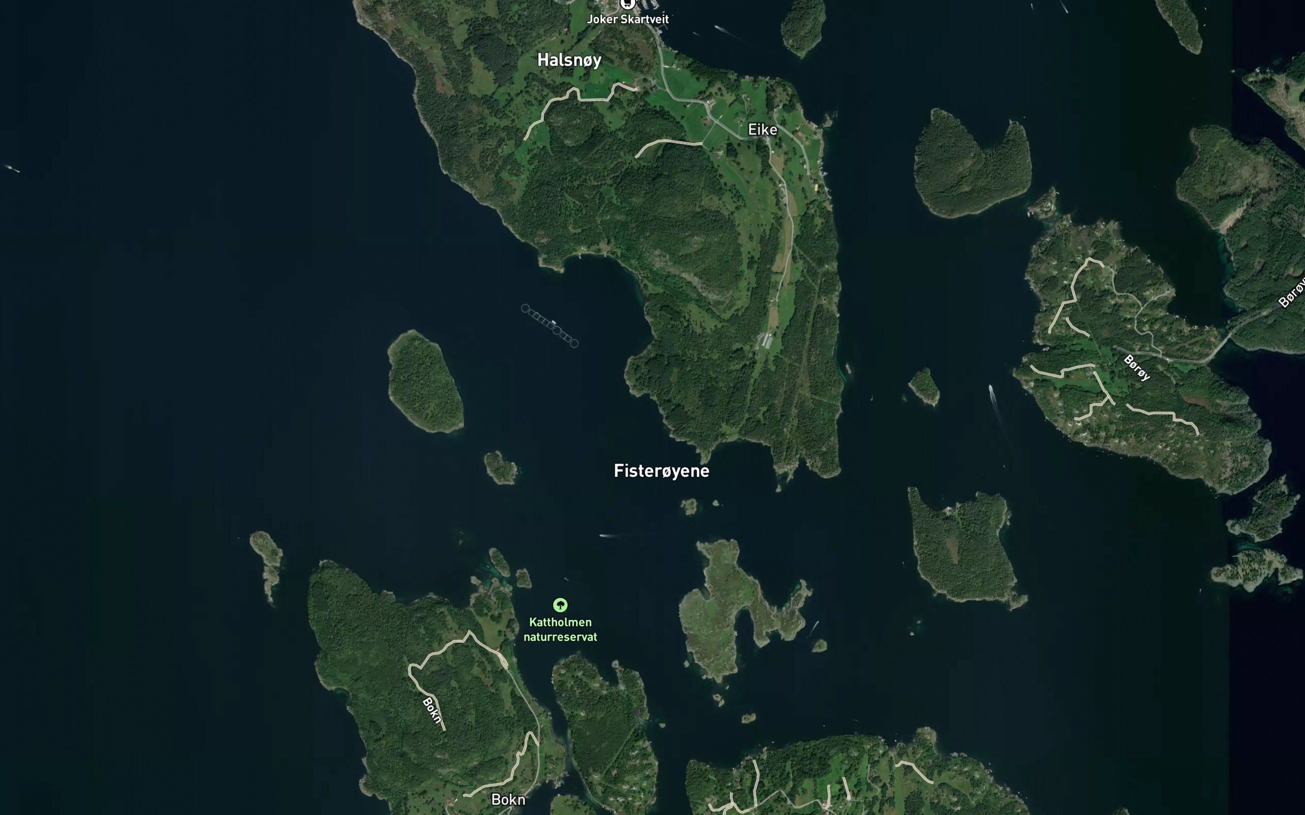 Ligvika