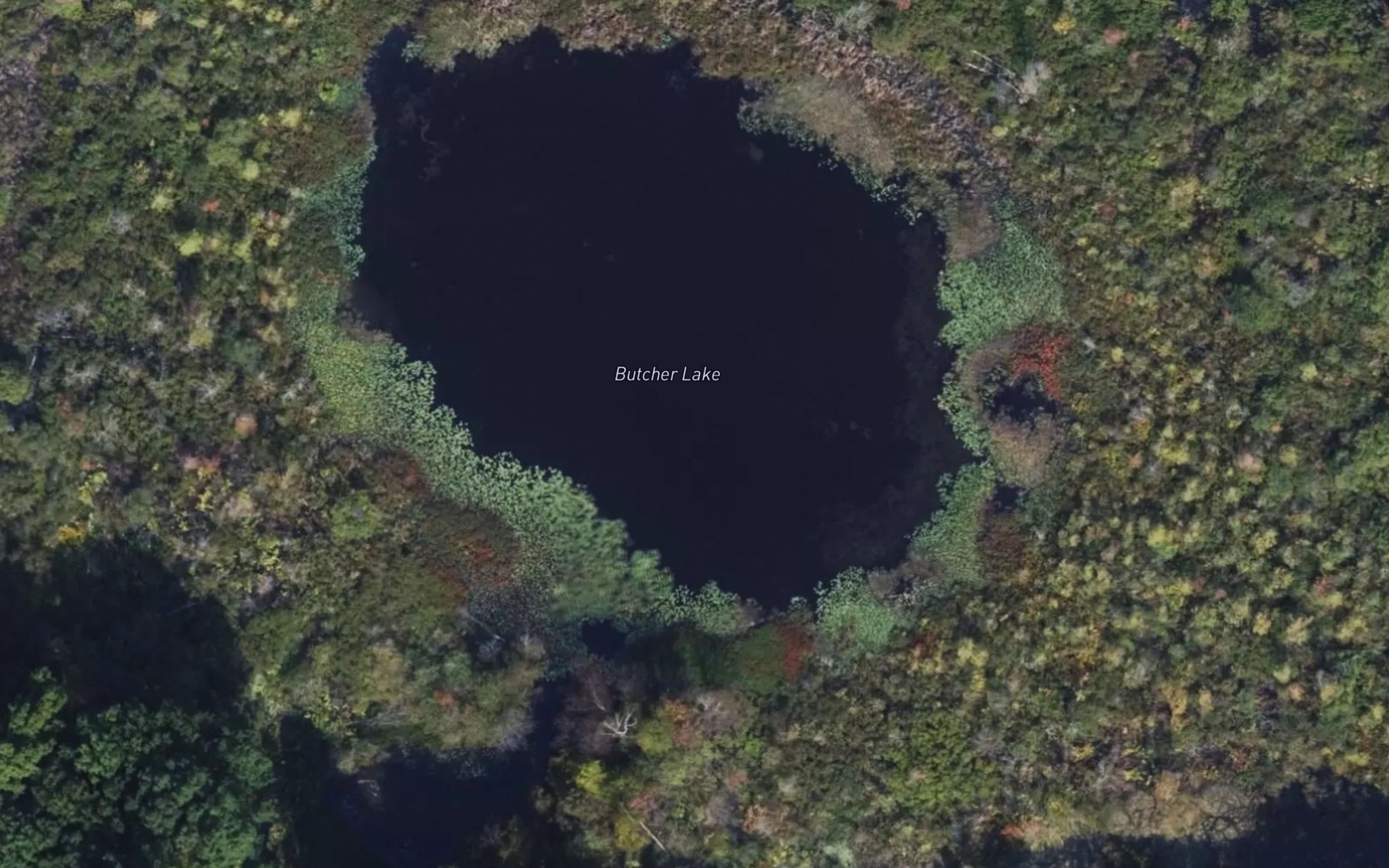 Satellite map of the Butcher Lake