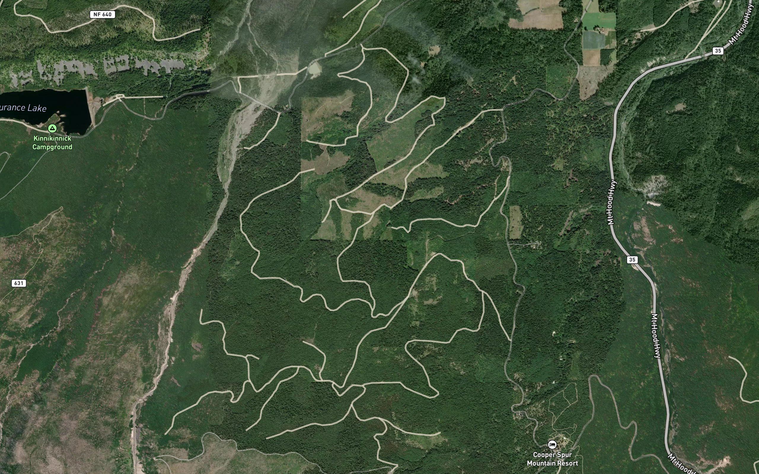 Elk Bed Springs