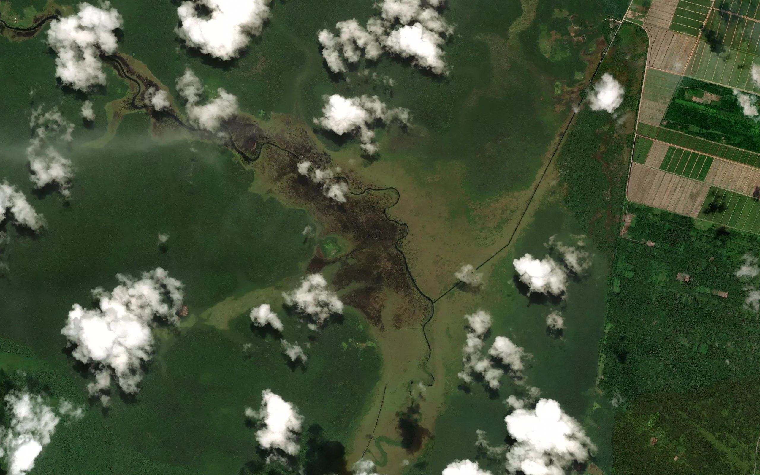 Huruwia Creek