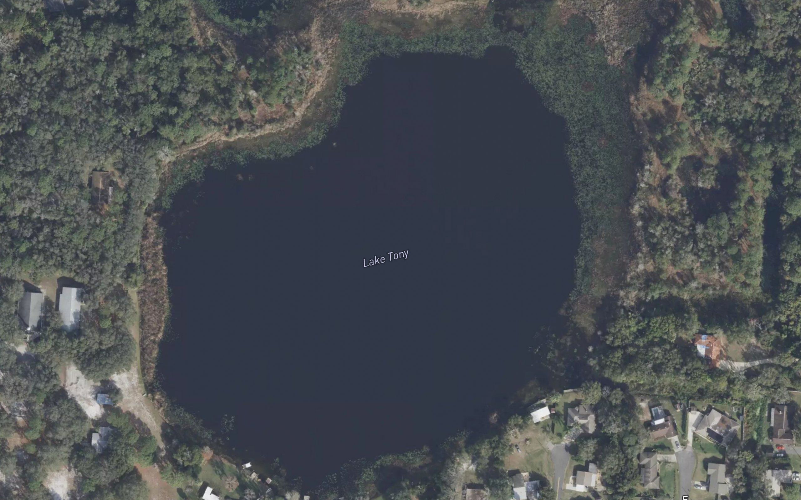 Lake Tony