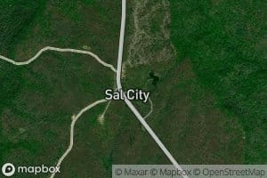 Sal City Spring