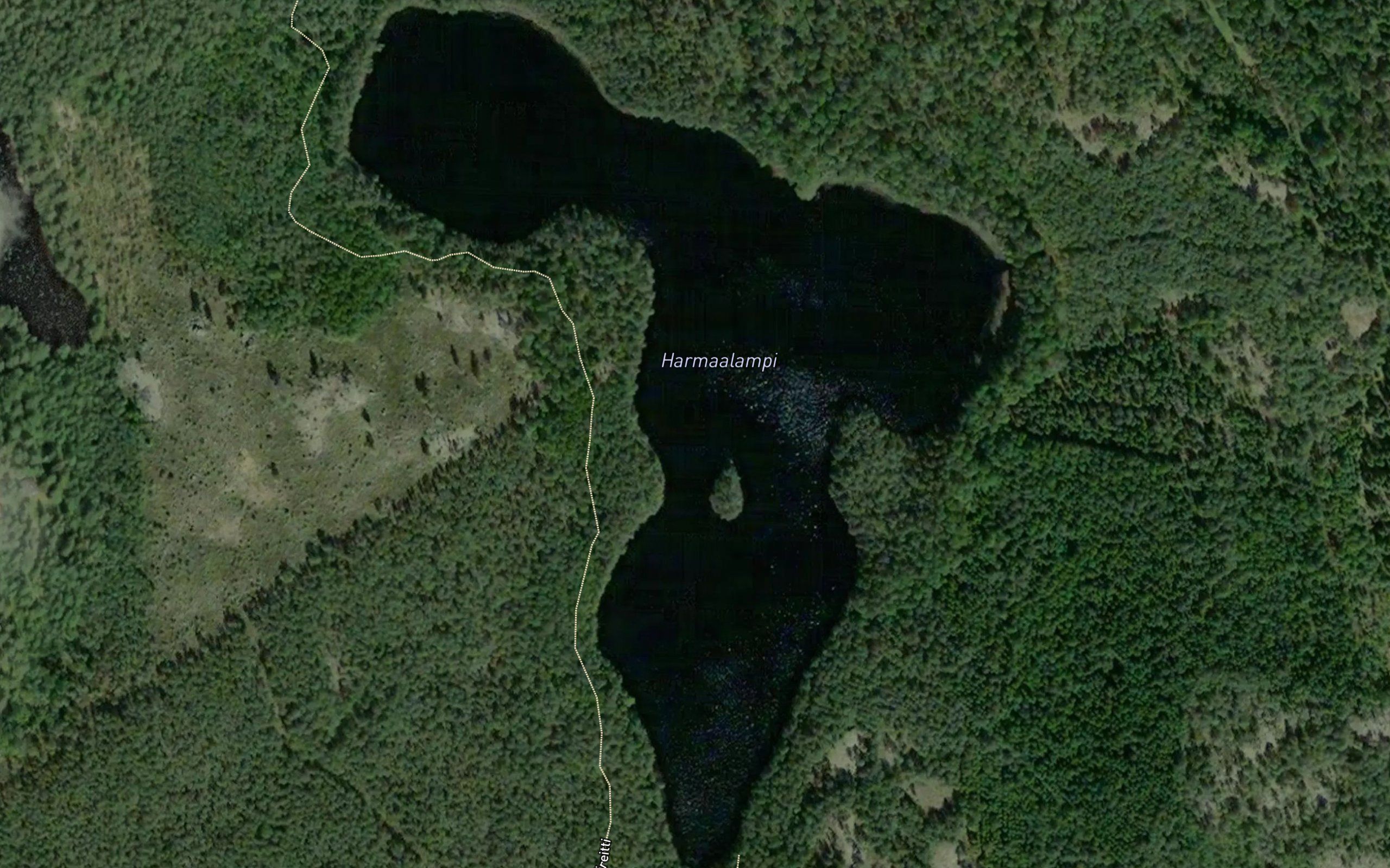 Harmaalampi