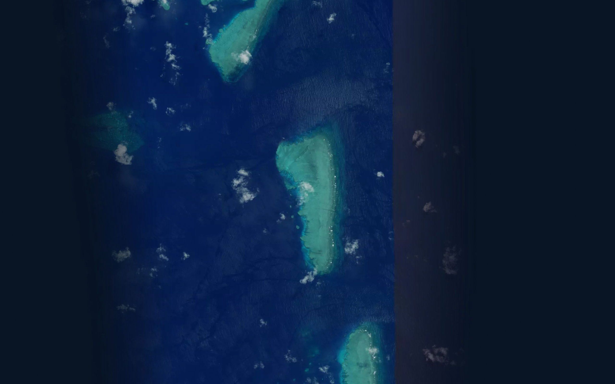 Ribbon Number One Reef