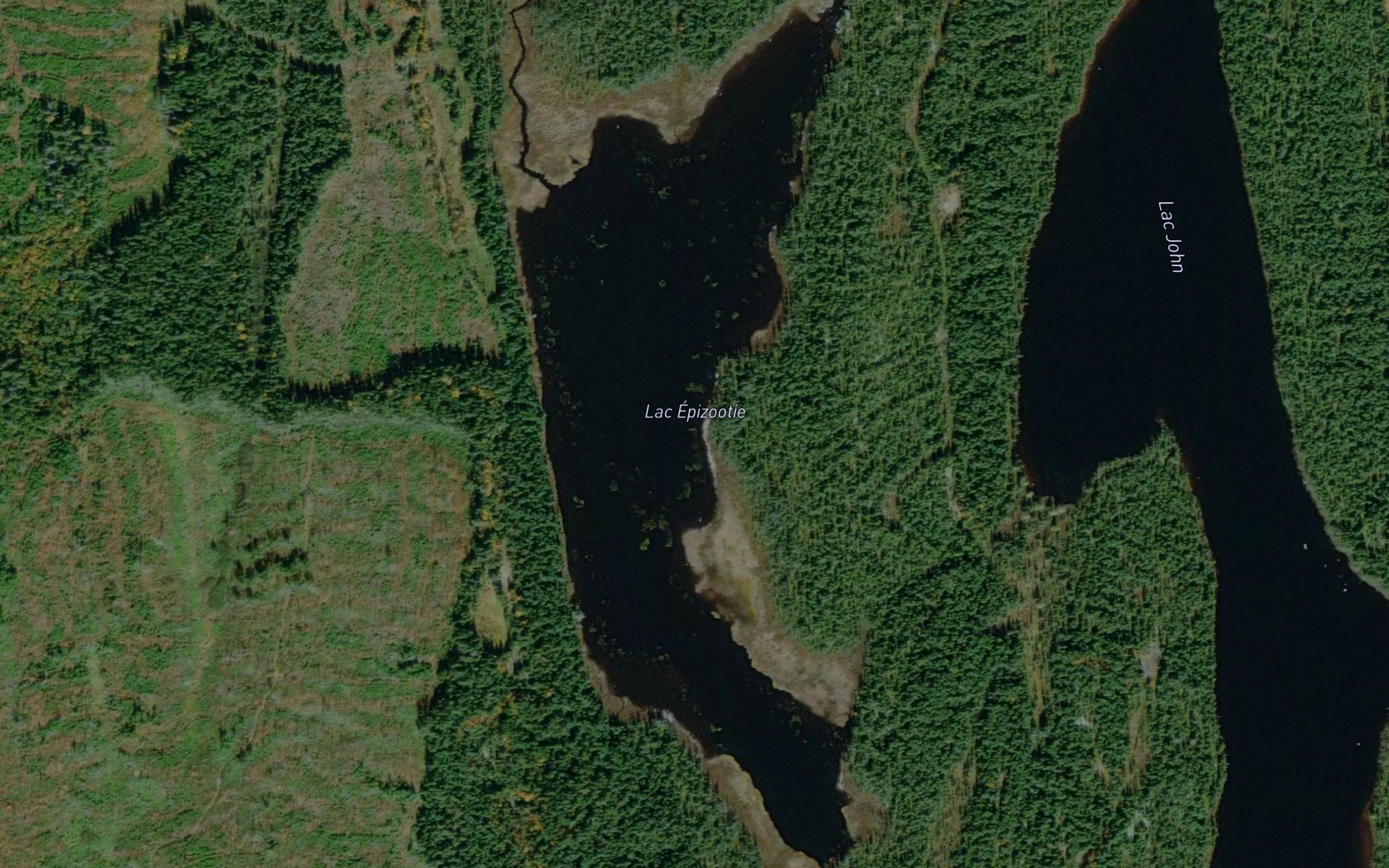 Lac Epizootie