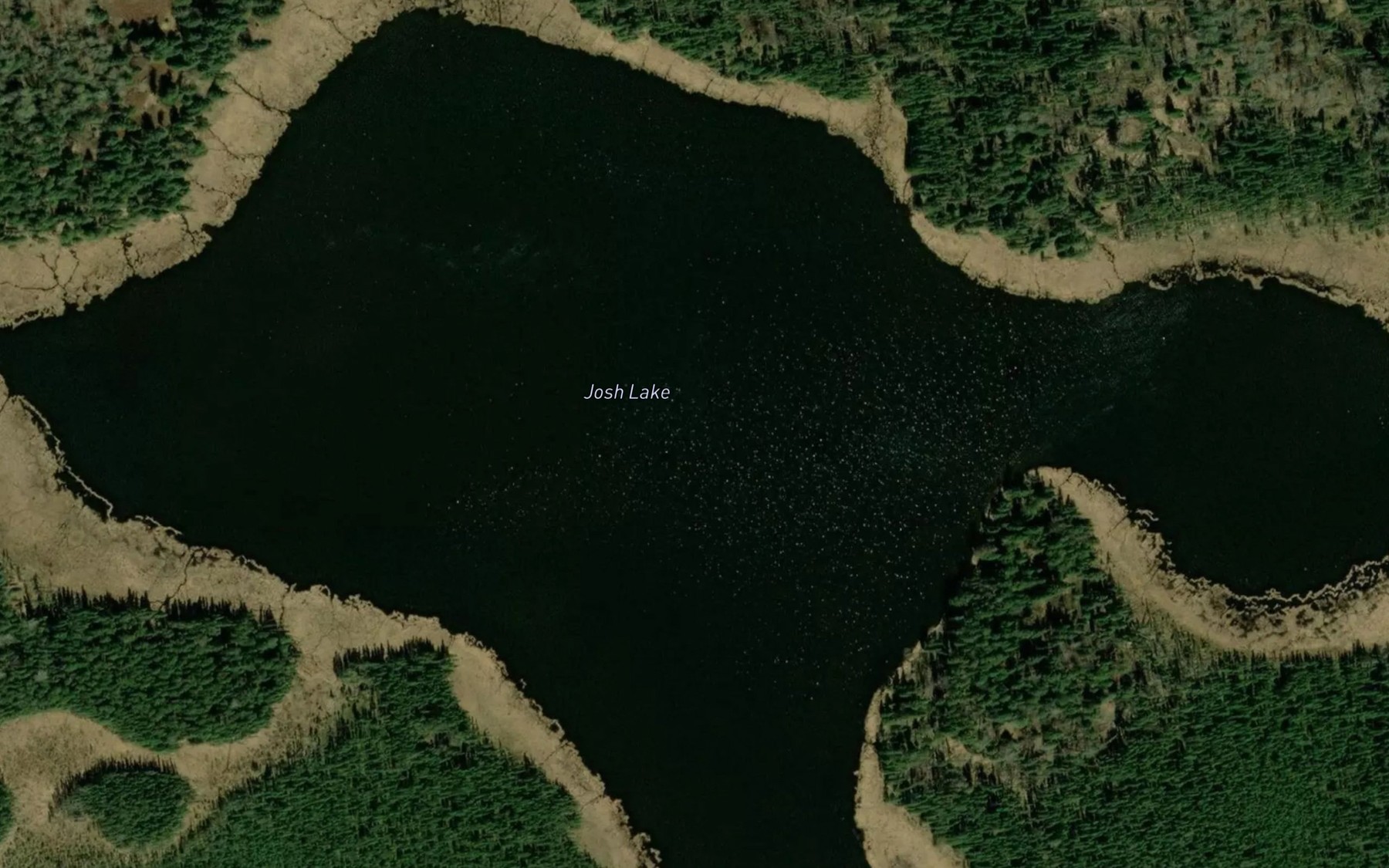 Satellite map of the Josh Lake