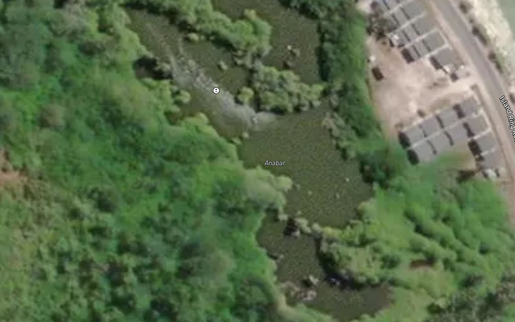 Satellite map of the Mangrove Swamps
