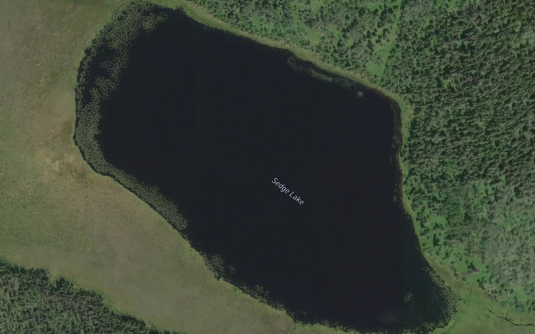 Satellite map of the Sedge Lake