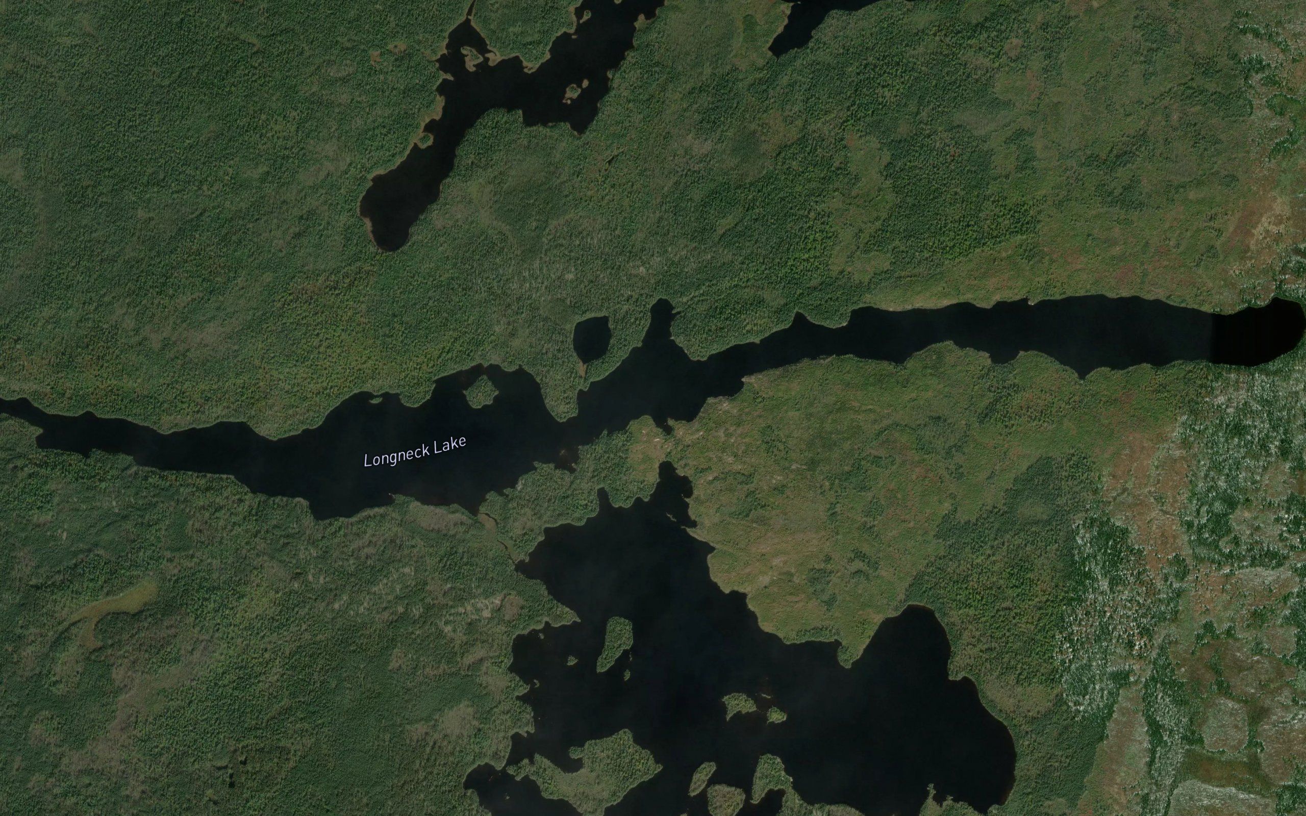 Longneck Lake