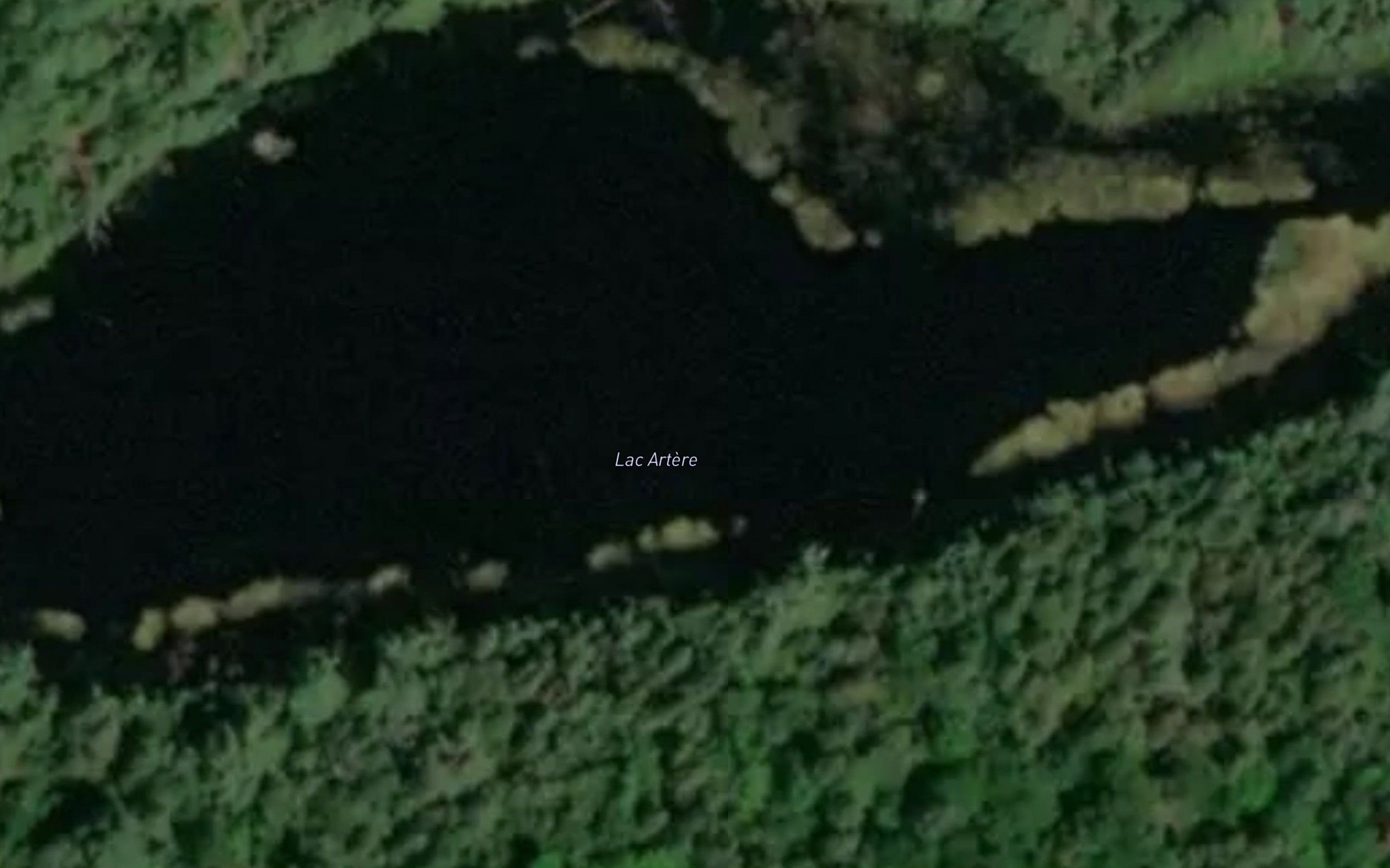 Lac Artere