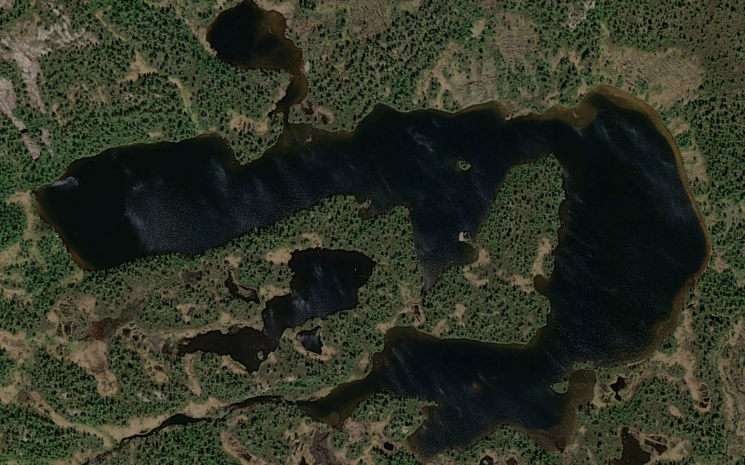 Homvatn