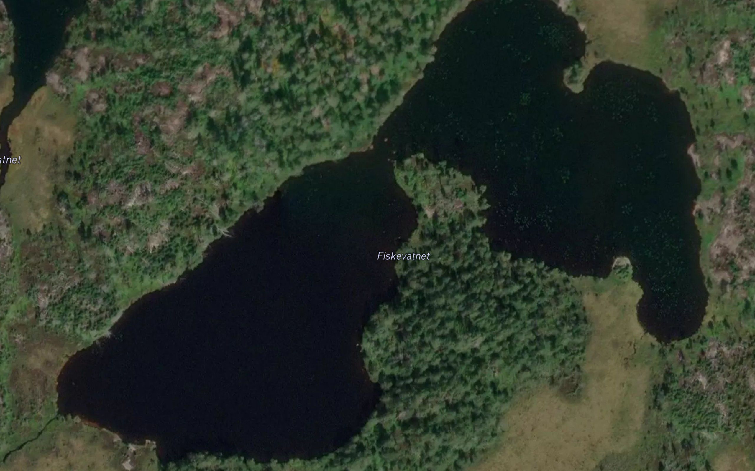 Fiskevatnet