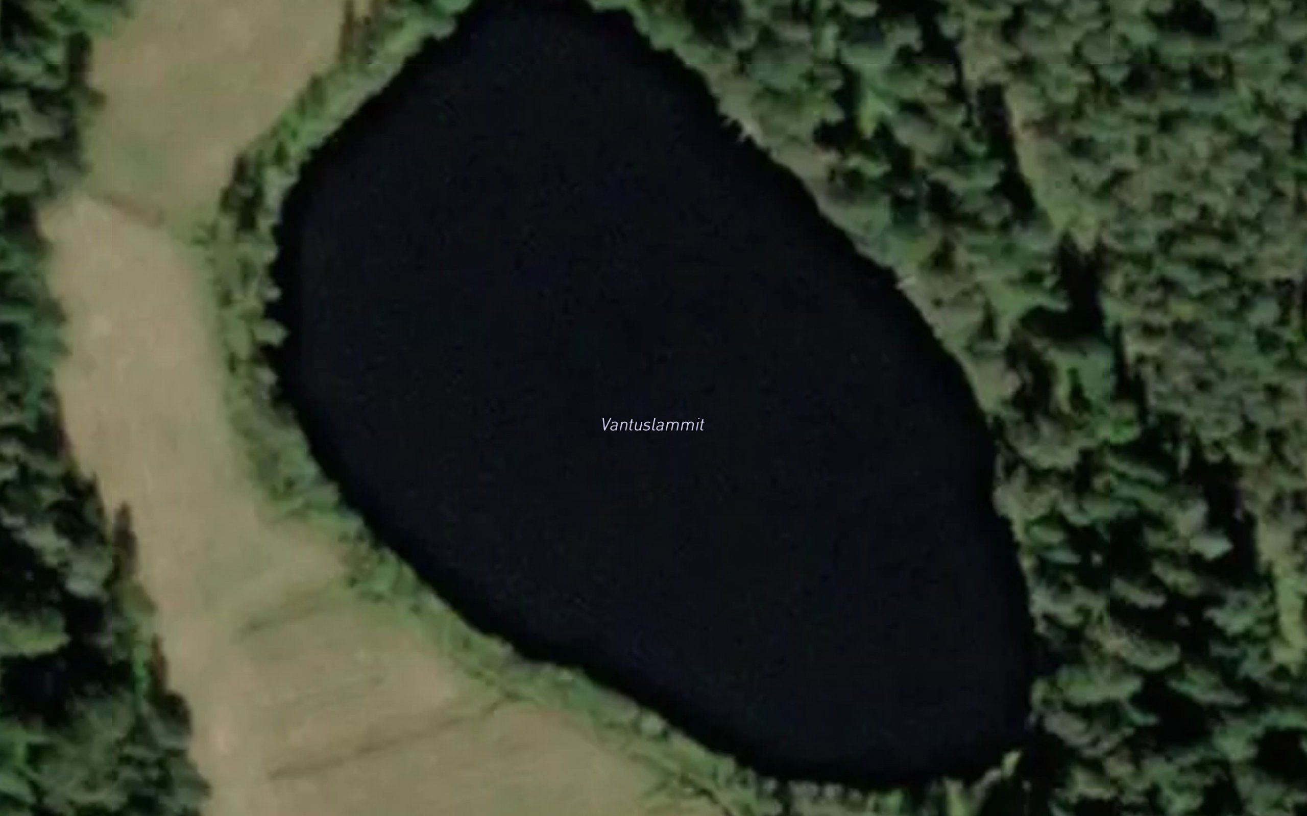 Vantuslammit