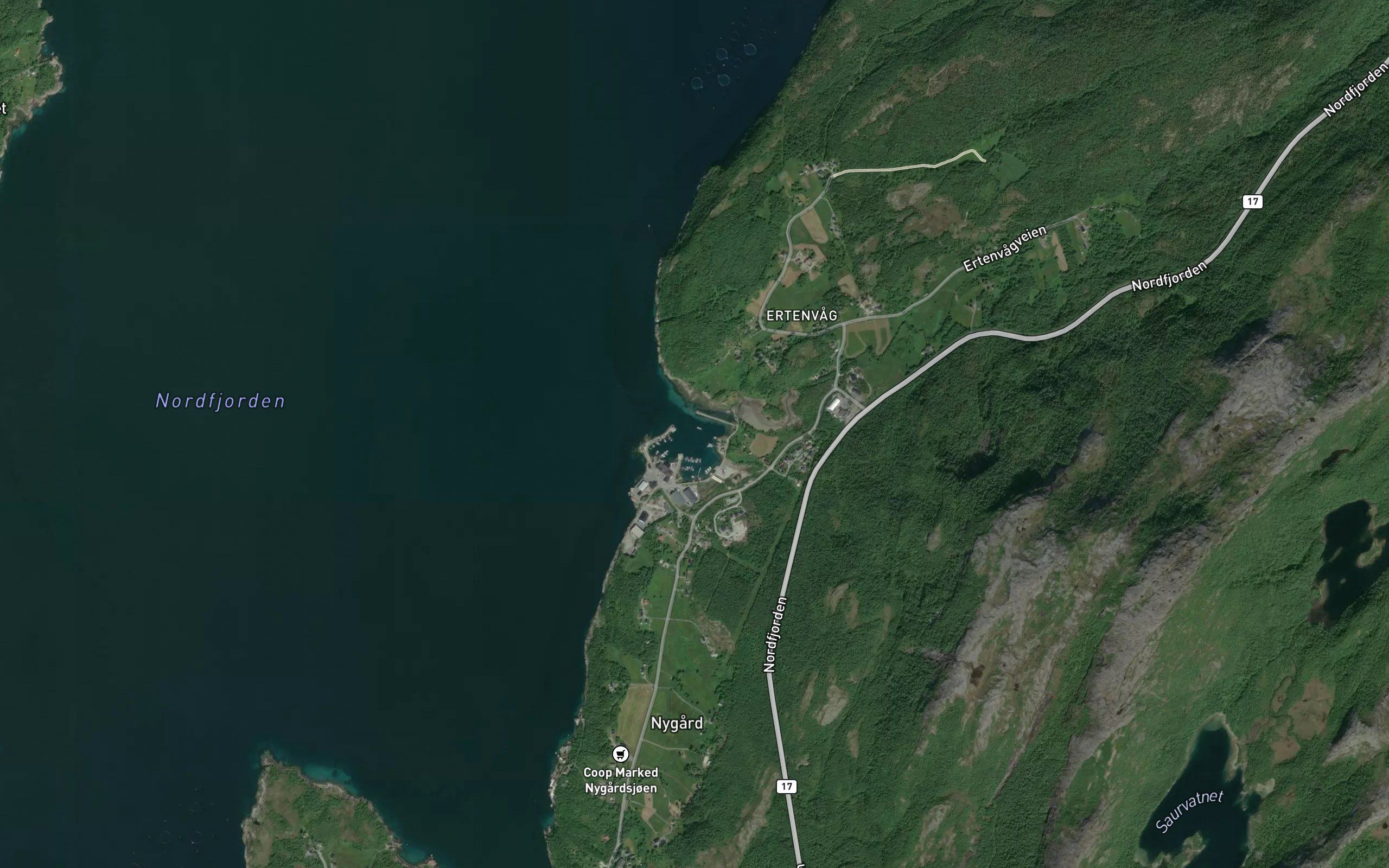 Ertenvagosen