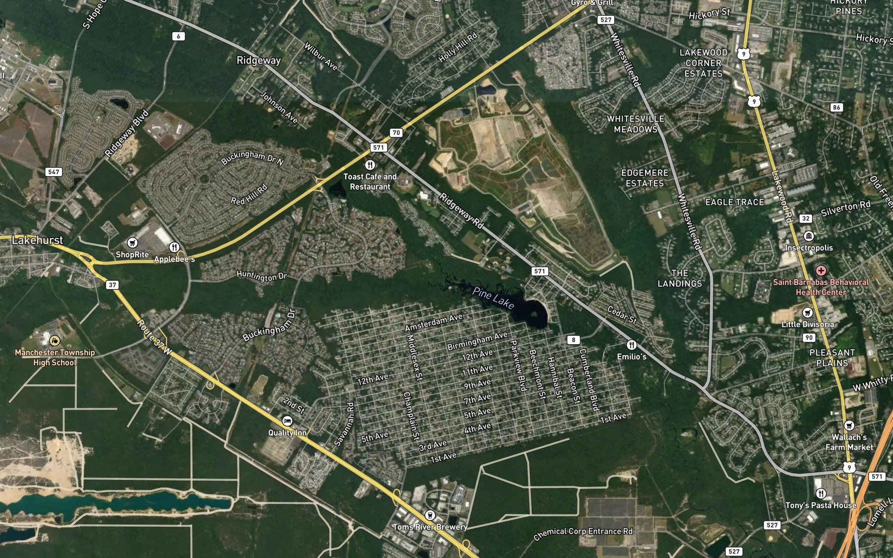 Satellite map of the Ridgeway Branch
