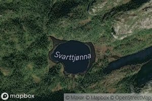 Svarttjorna
