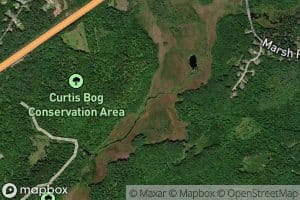 Curtis Bog