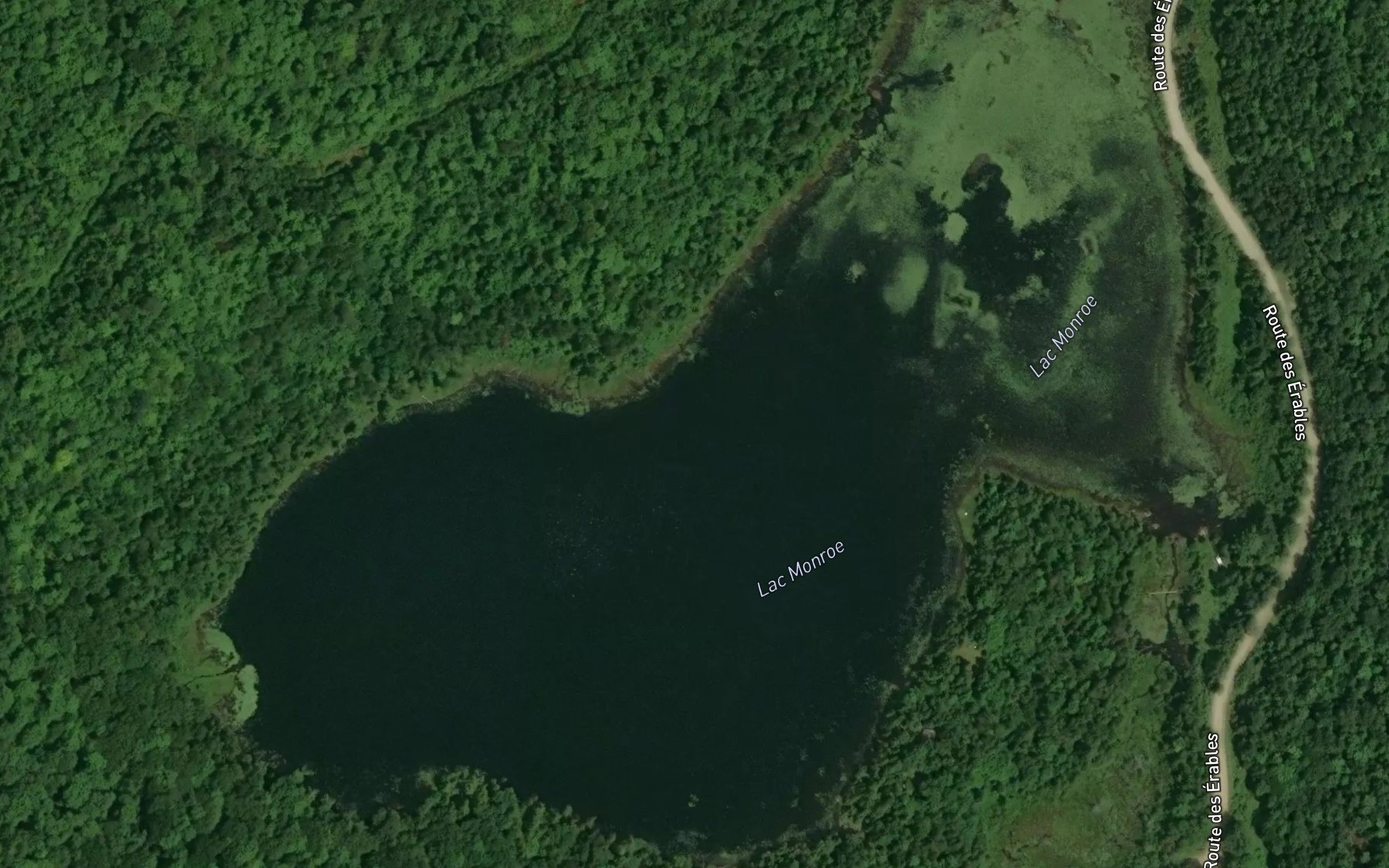 Satellite map of the Lac Monroe