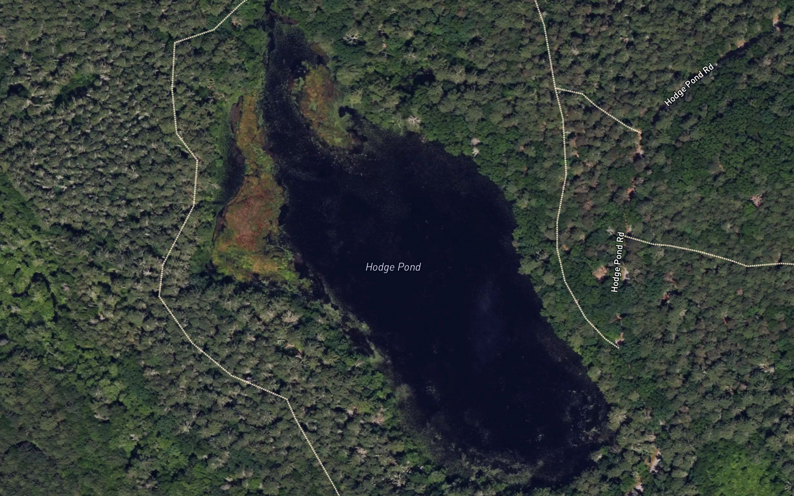 Hodge Pond