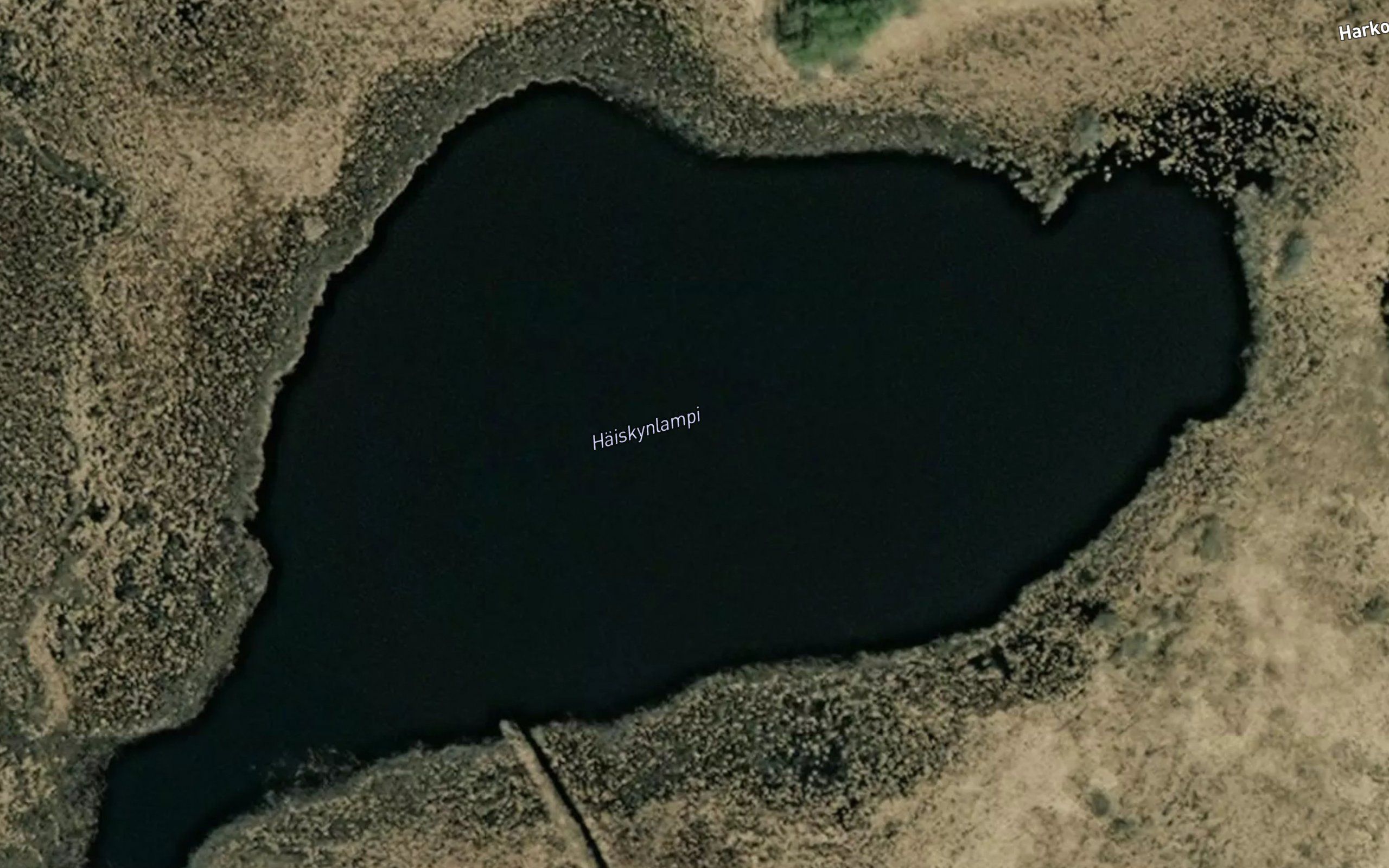 Haiskynlampi