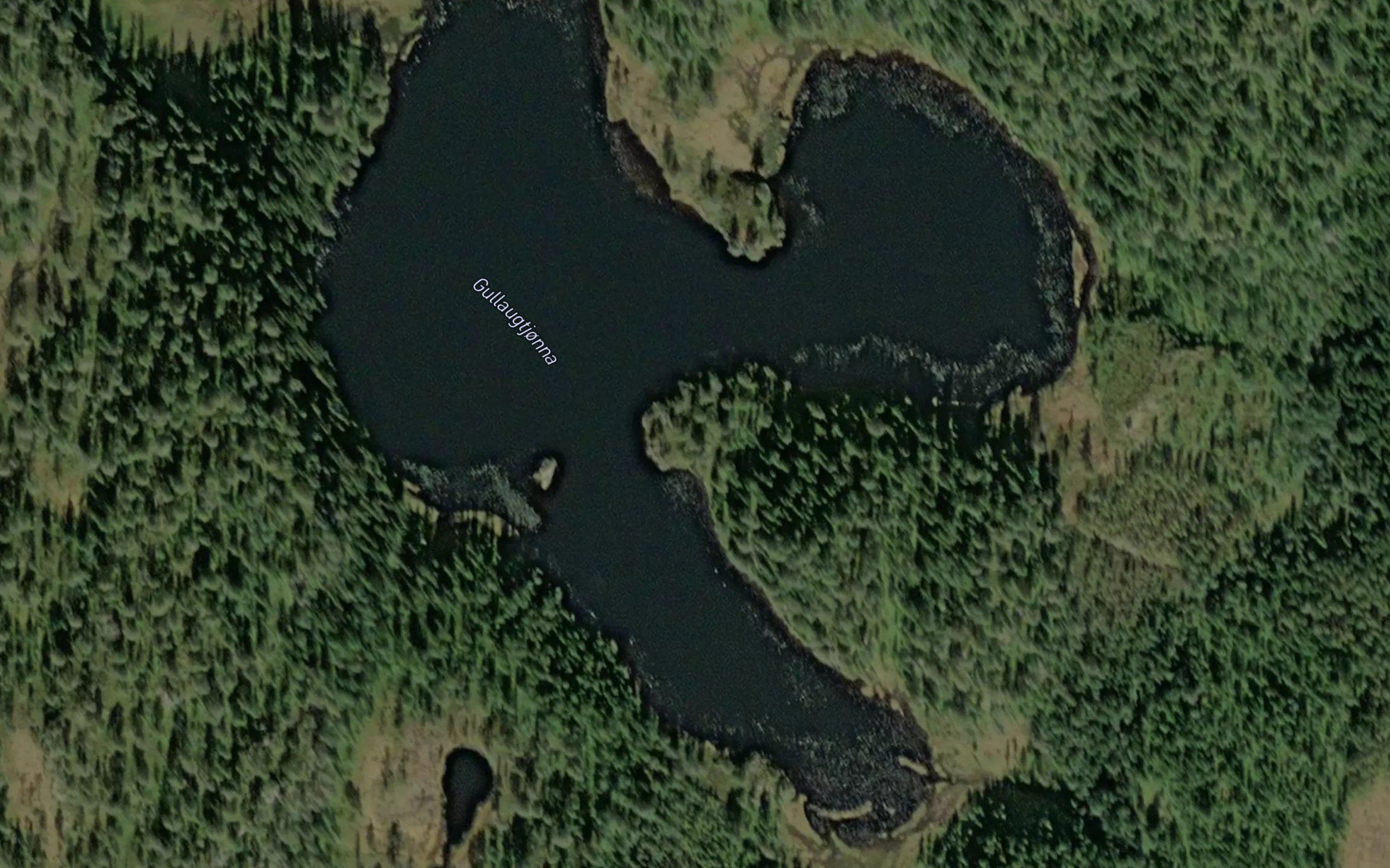 Gullaugtjorna