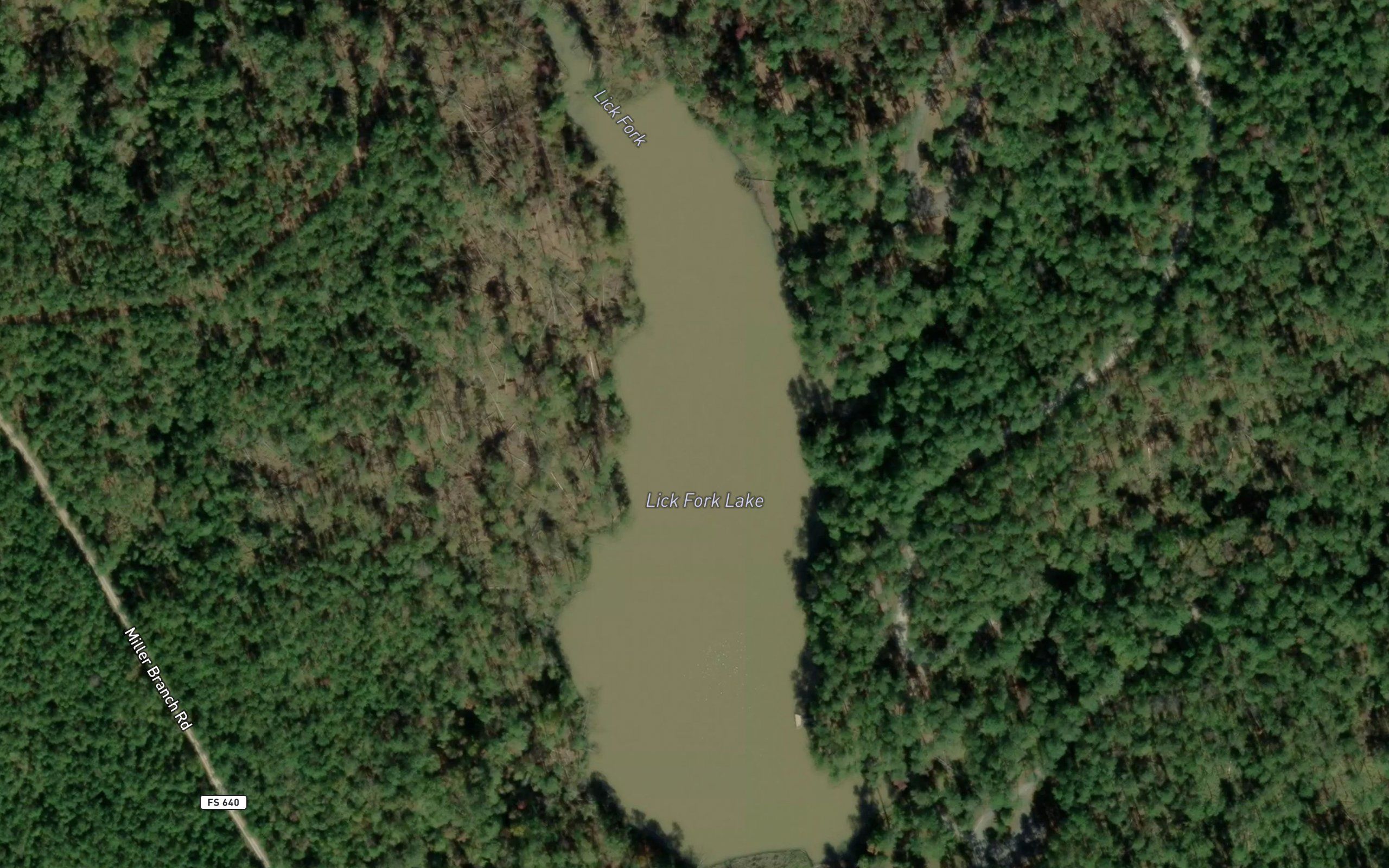 Lick Fork Lake