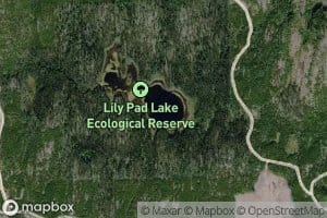 Lily Pad Lake